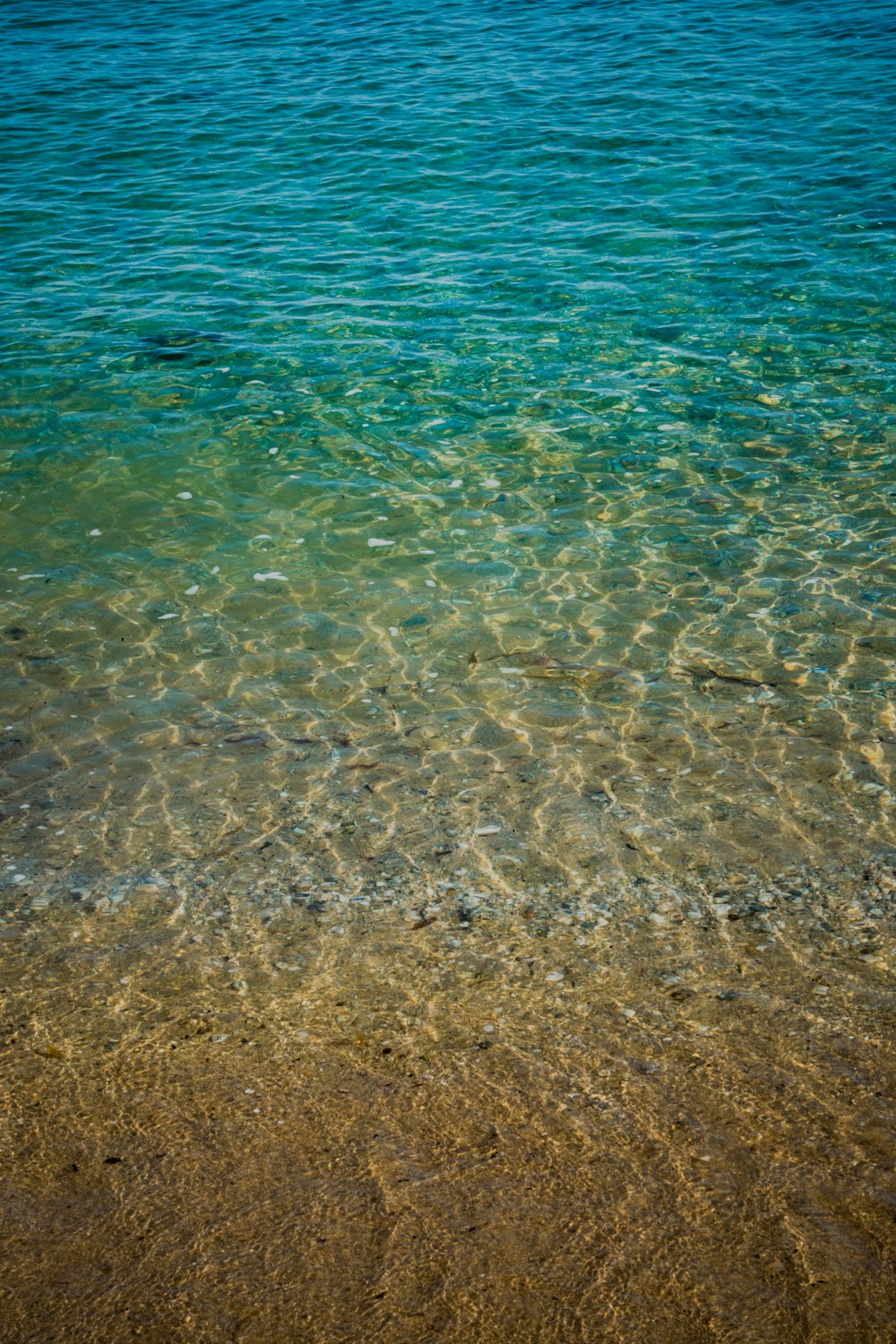 the water is crystal clear and blue