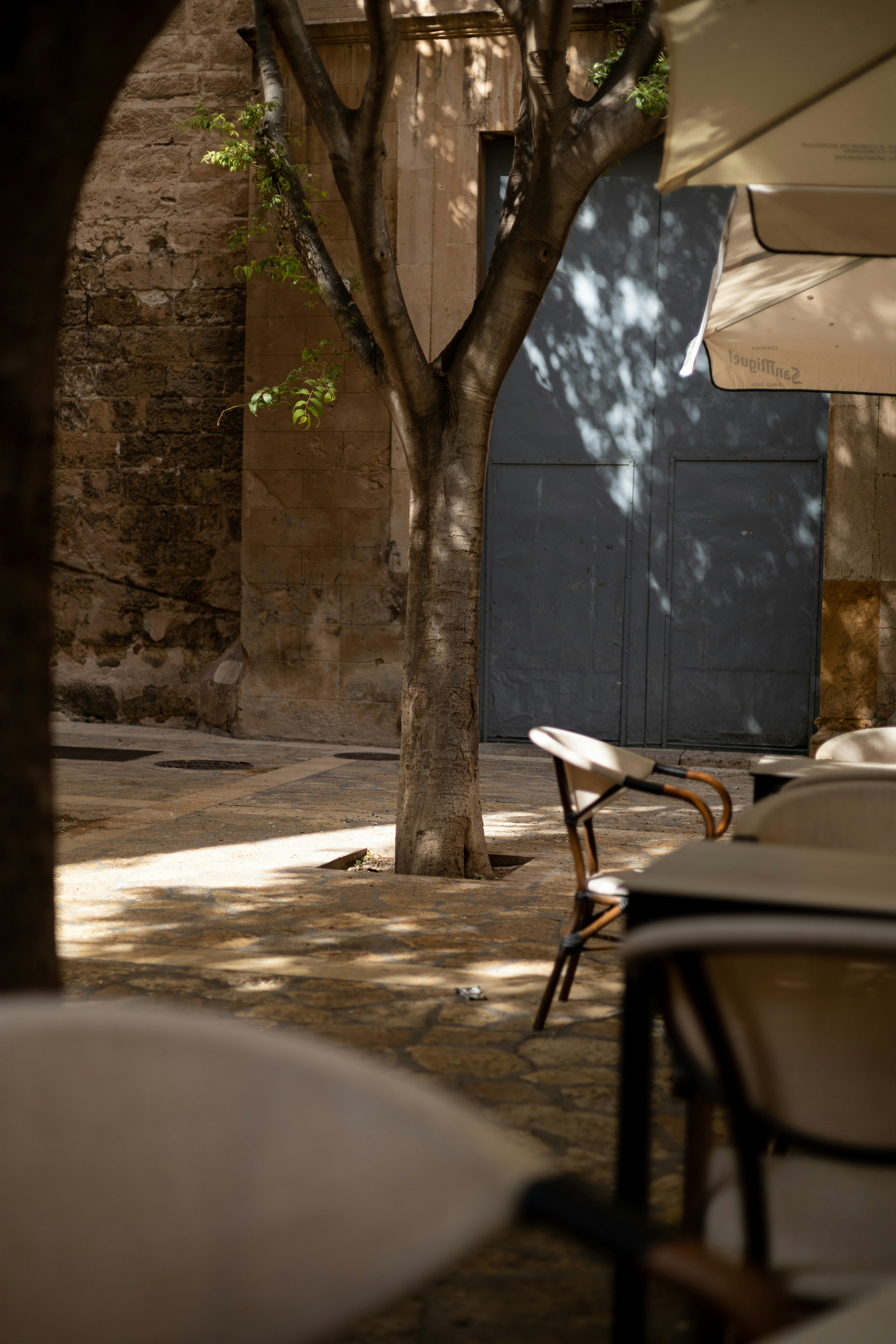 a wooden bench sitting under a tree next to a building
