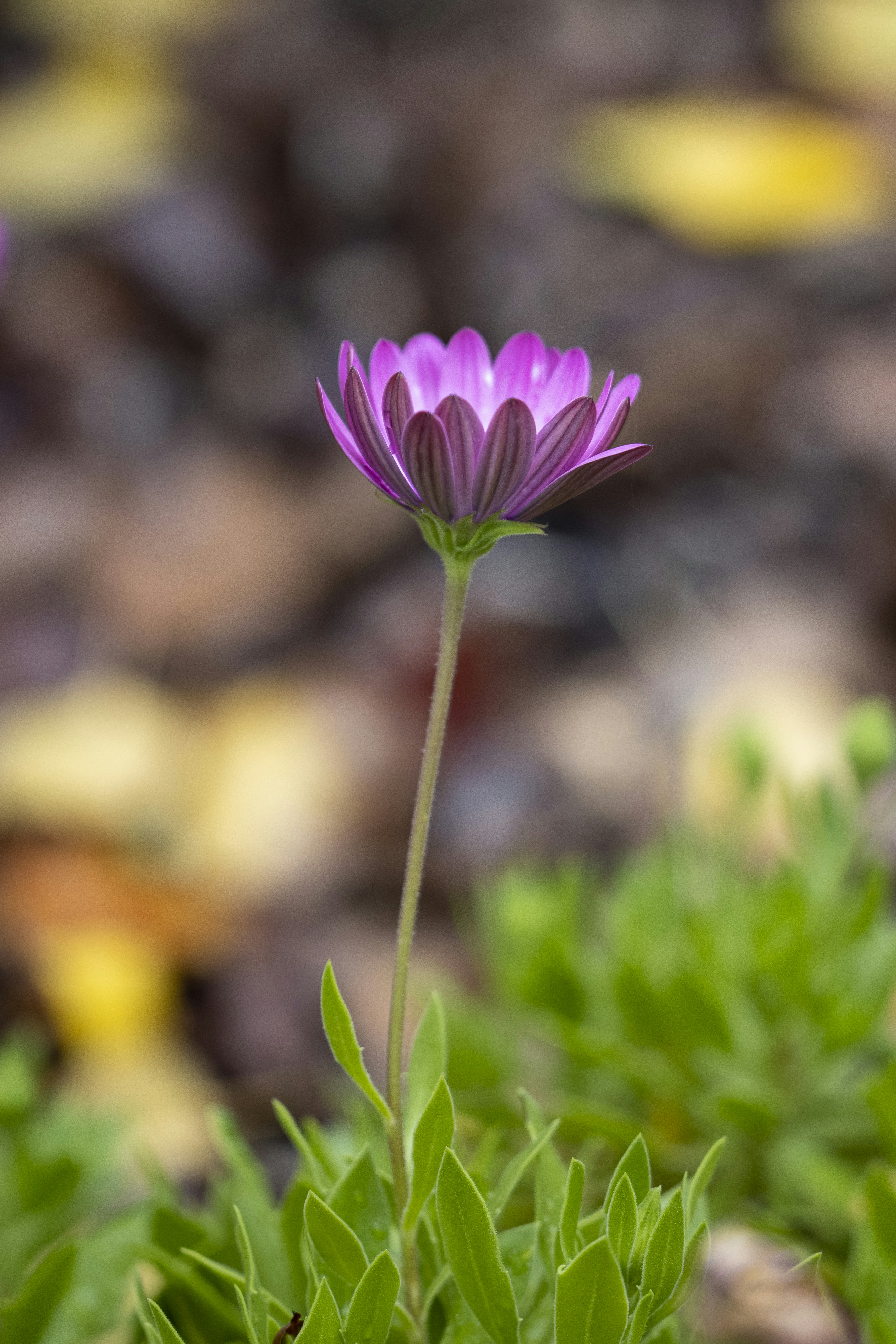 Photo by stephenmabbs