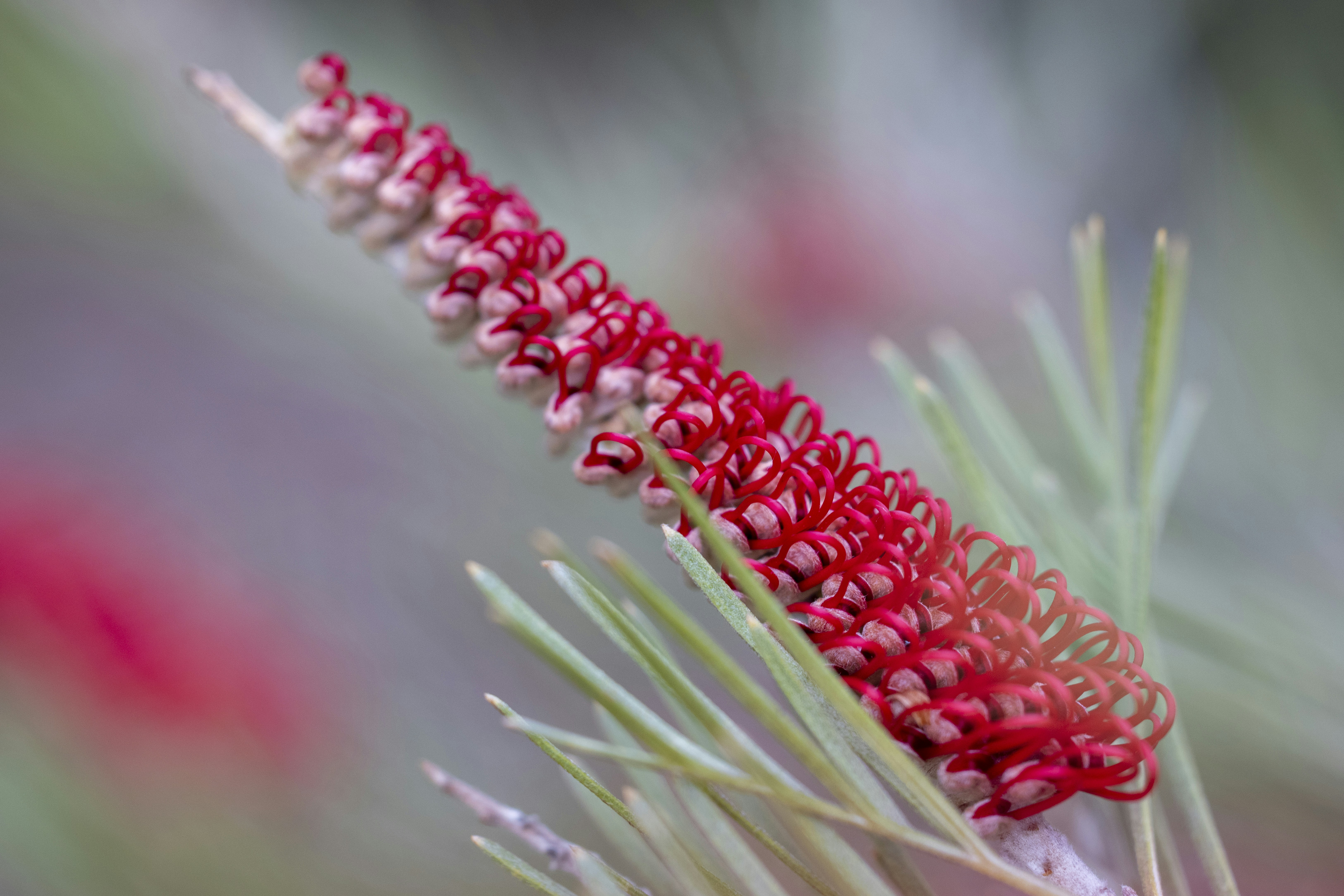 Photo by stephenmabbs