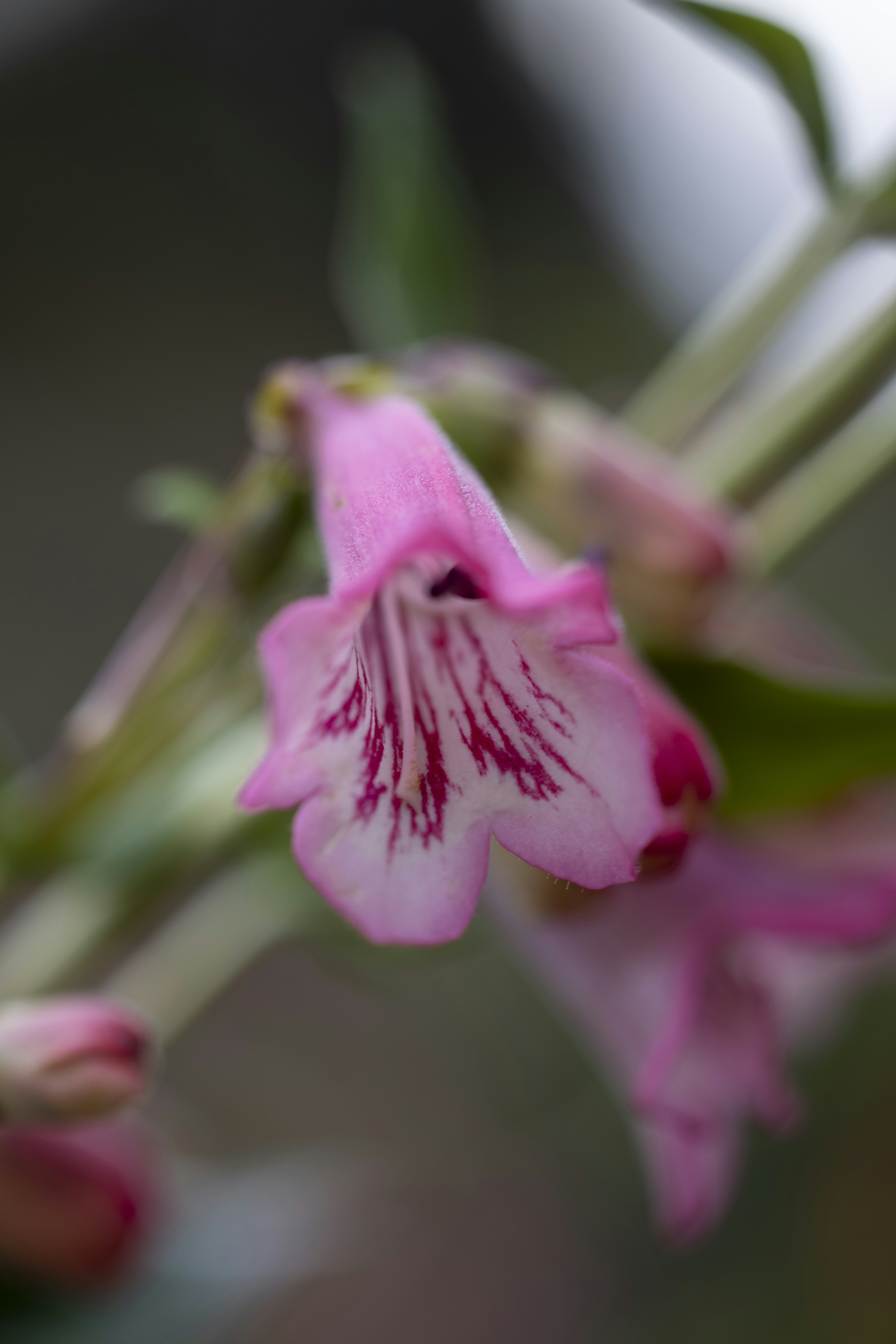 Photo by stephenmabbs