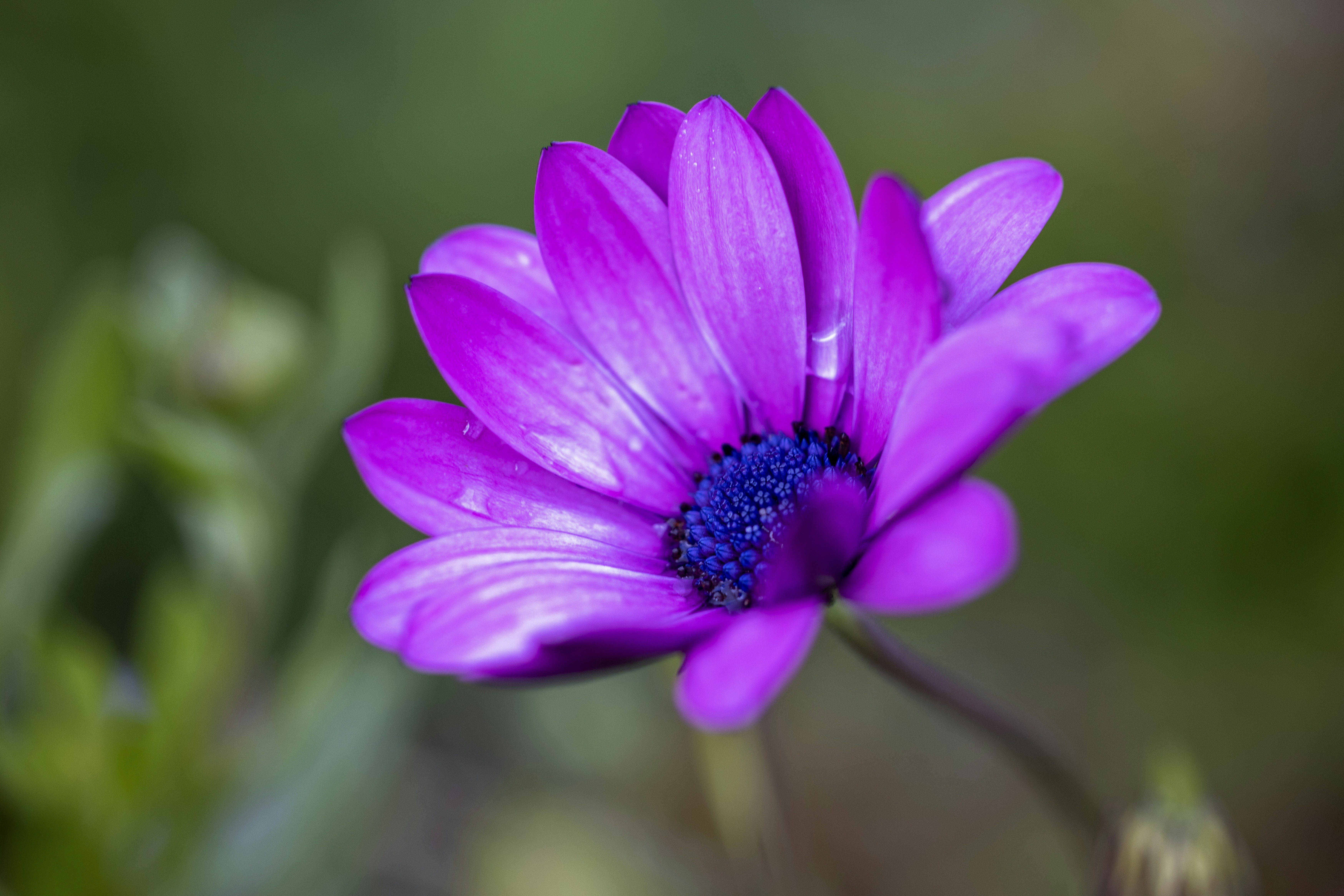 Photo by stephenmabbs