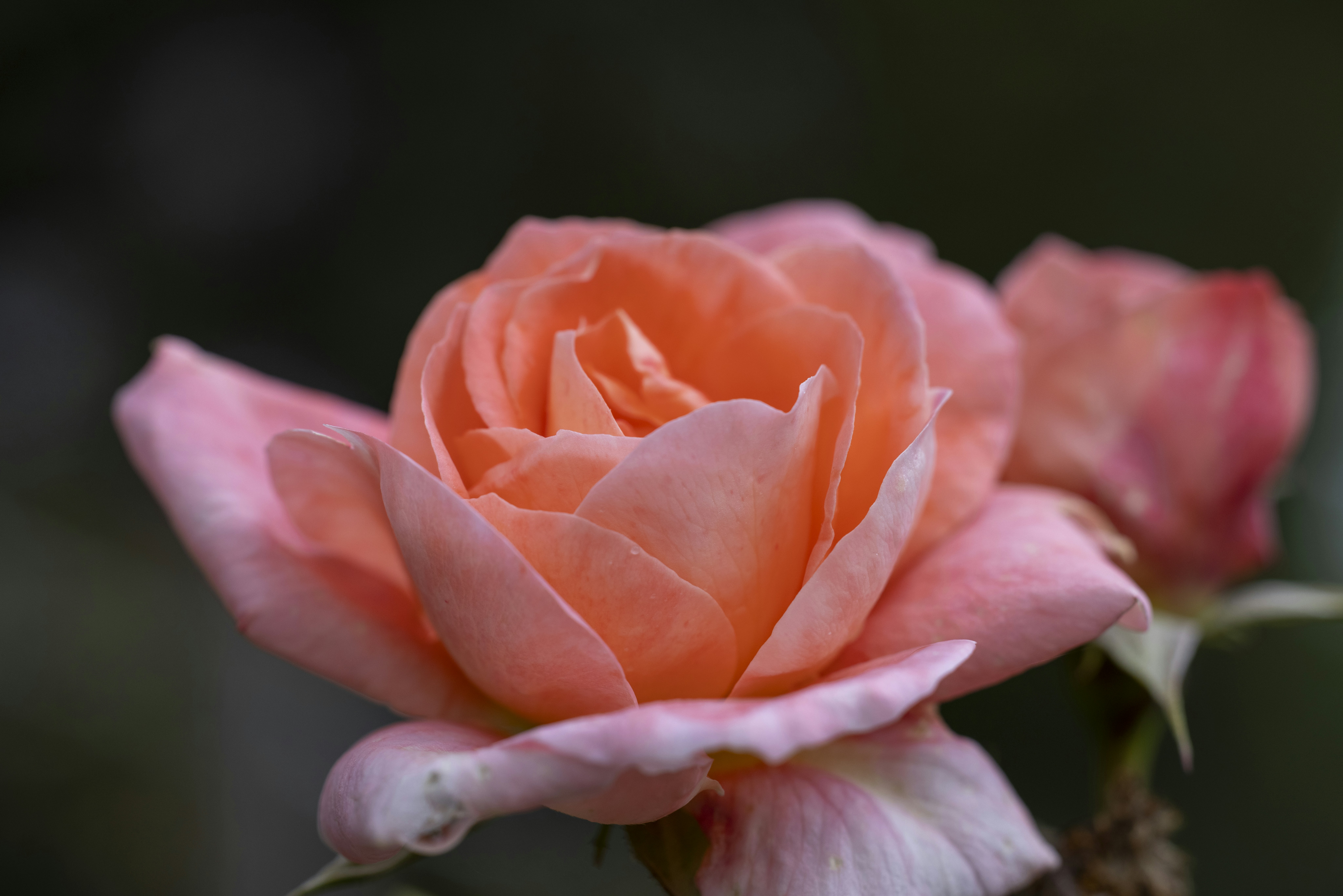 Photo by stephenmabbs