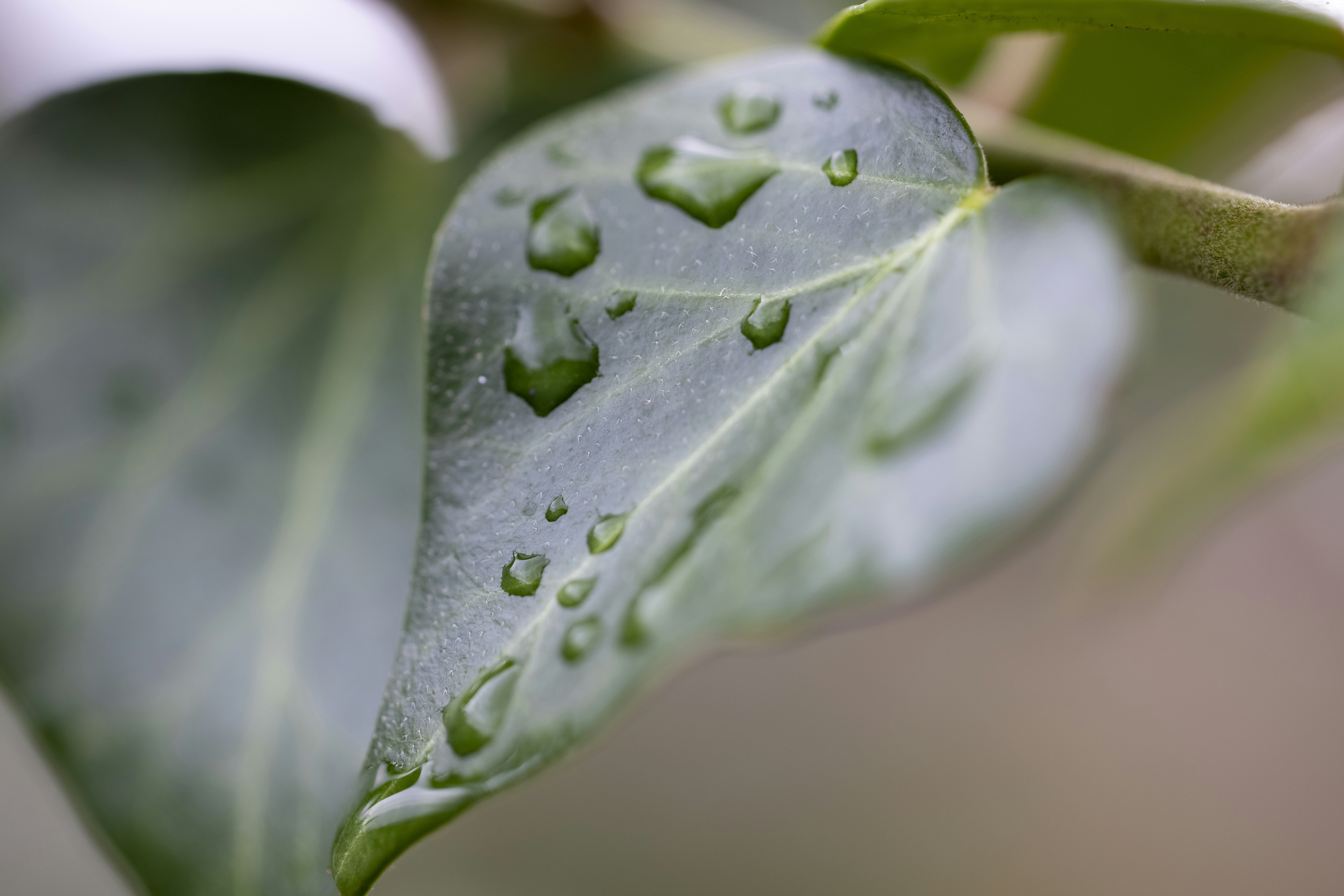 Photo by stephenmabbs