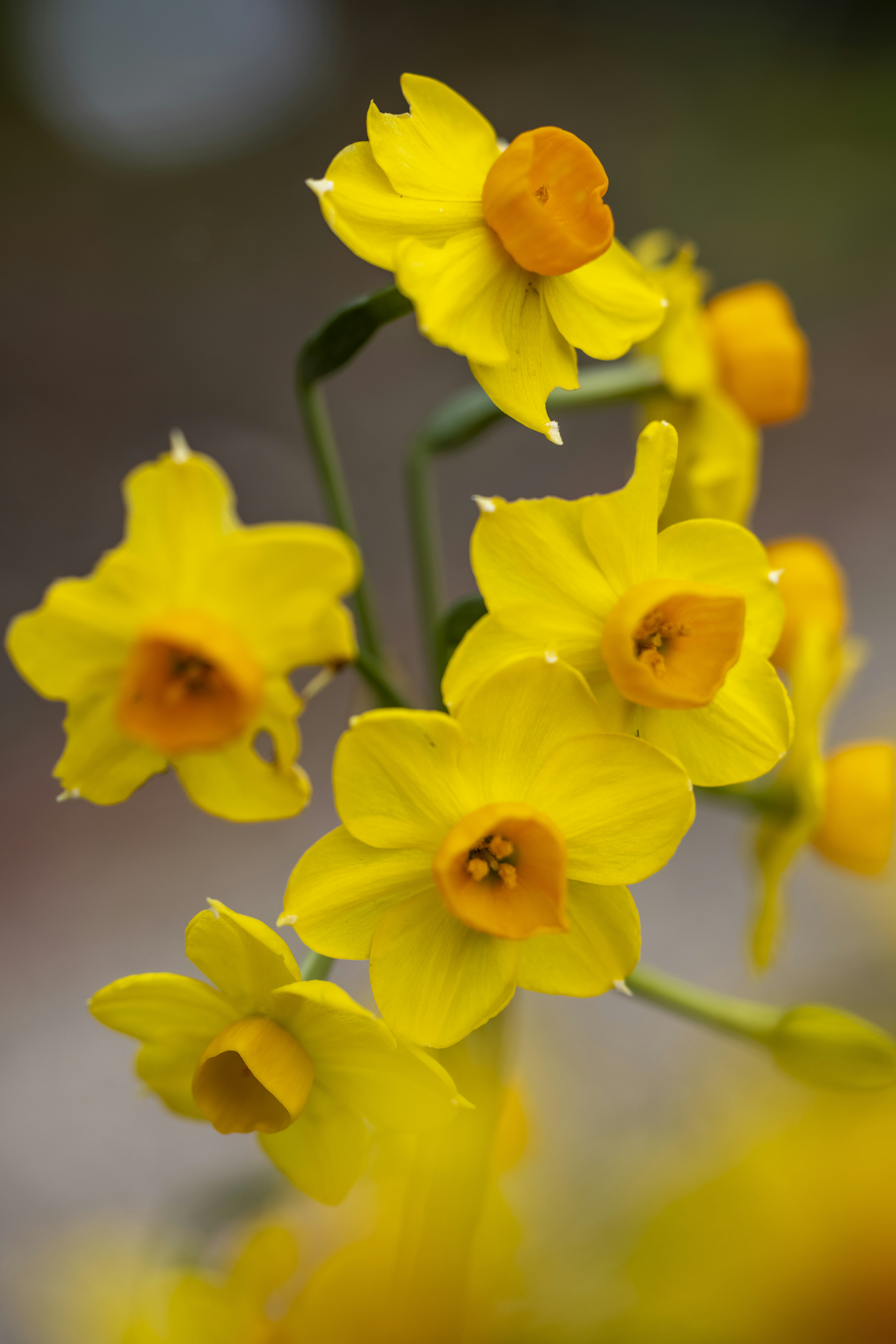 Photo by stephenmabbs