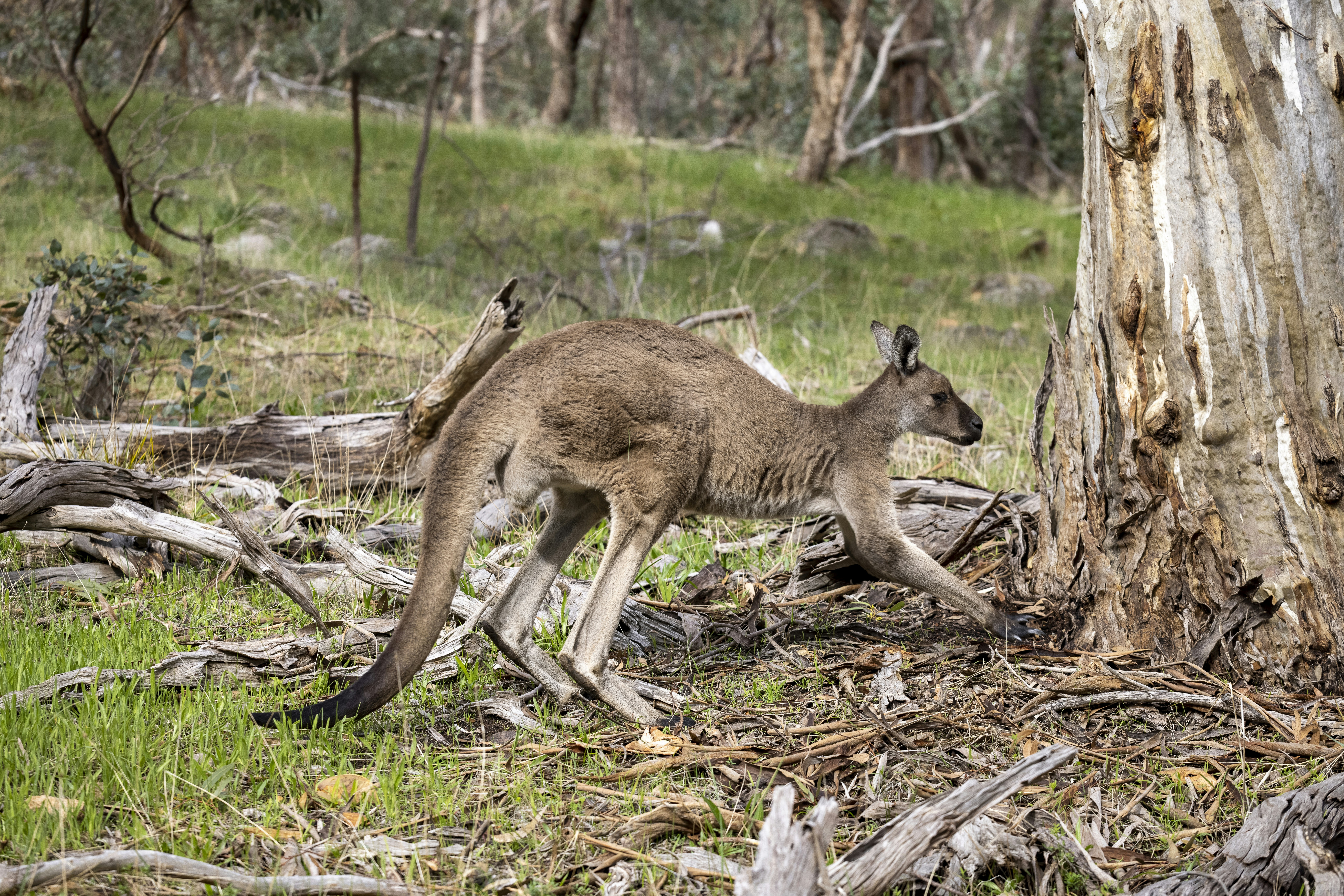 Photo by stephenmabbs