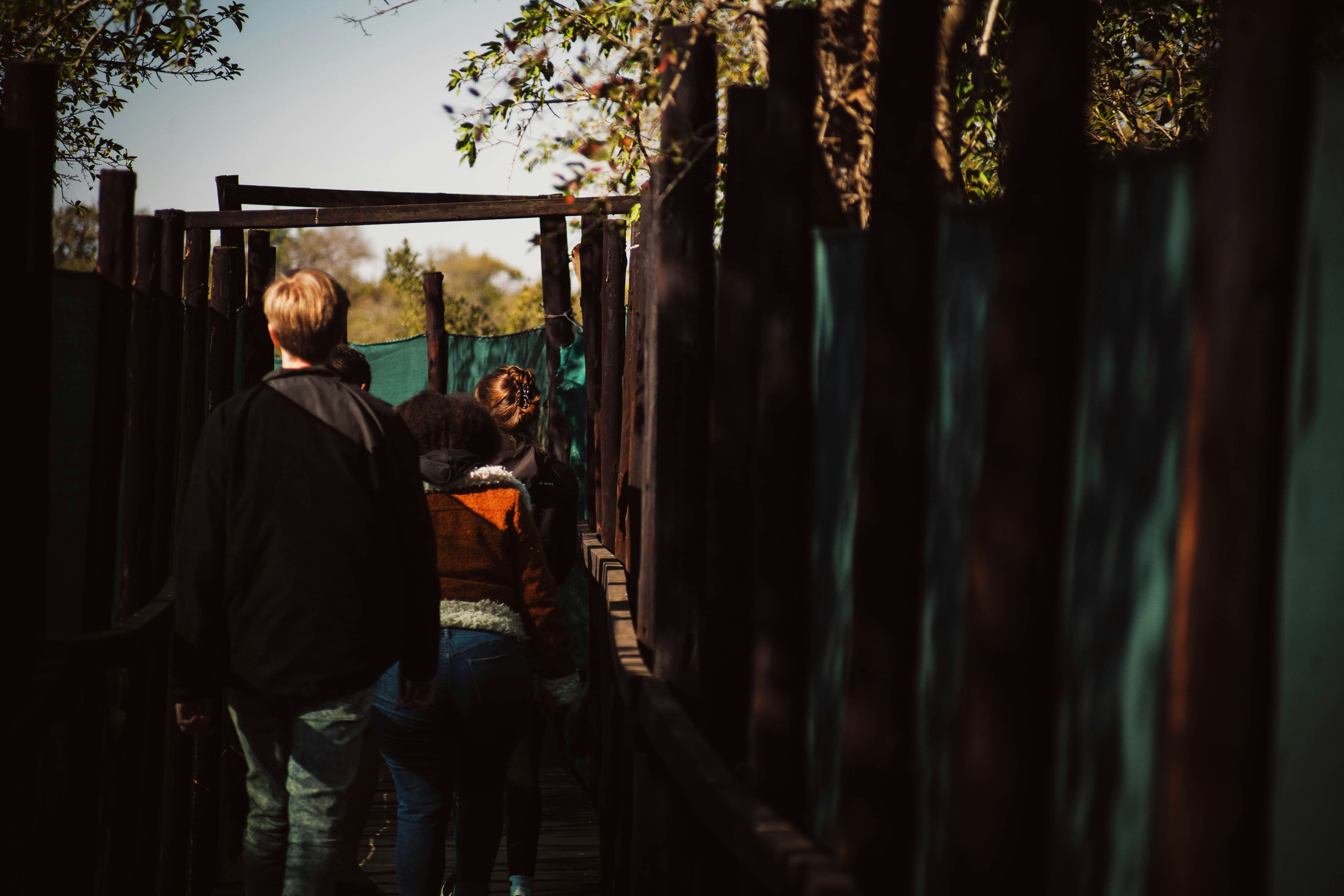 Photo by chaddelange