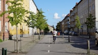 A cyclist riding a sleek custom bike on a scenic urban street.