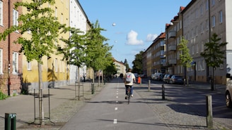 A cyclist rides down a dedicated bike lane on a tree-lined urban street, flanked by buildings with classic architecture. Cars are parked along the side, and small green trees enhance the sidewalk, contributing to the orderly and peaceful city environment.