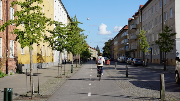 A cyclist rides down a dedicated bike lane on a tree-lined urban street, flanked by buildings with classic architecture. Cars are parked along the side, and small green trees enhance the sidewalk, contributing to the orderly and peaceful city environment.
