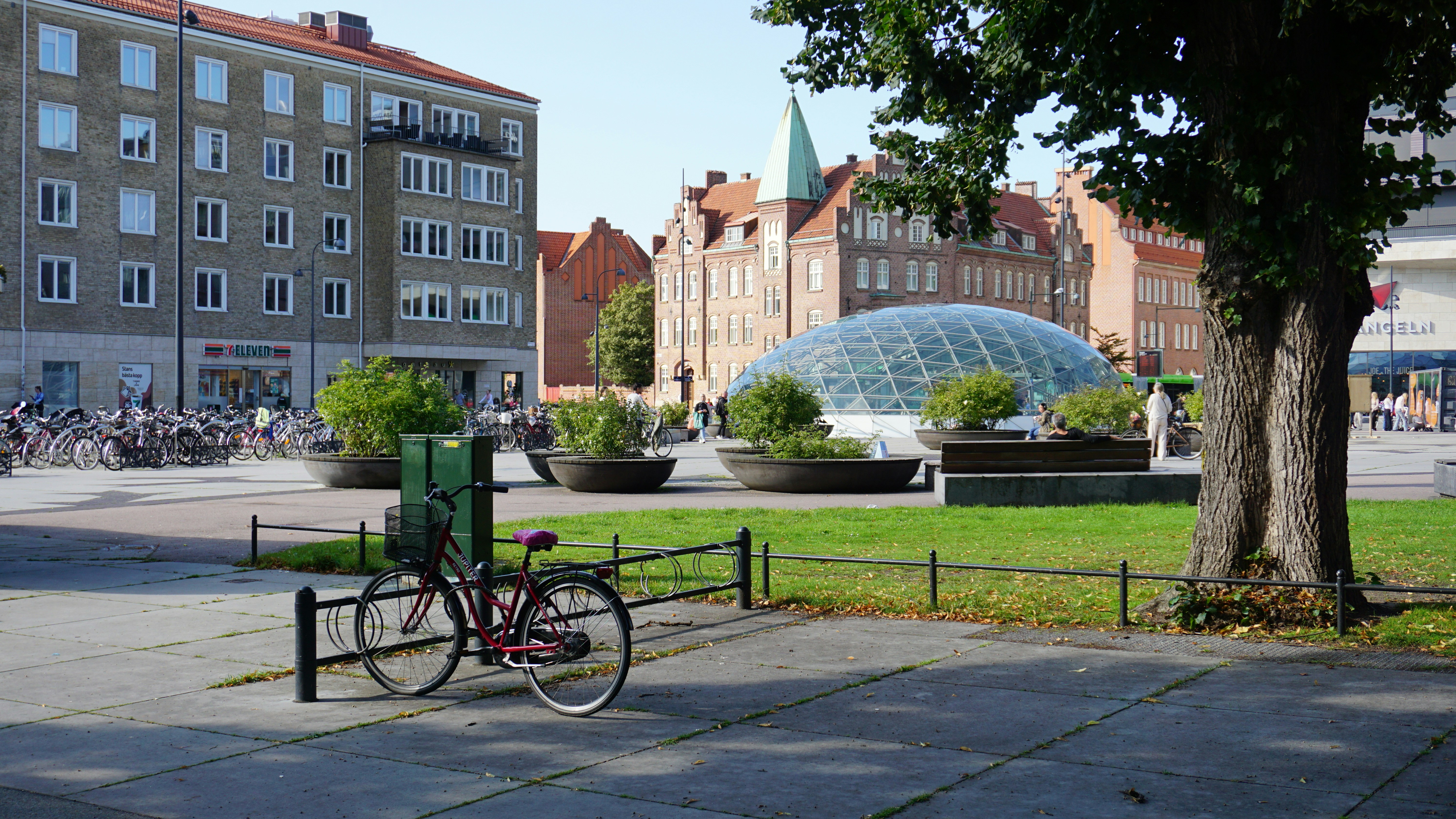 a bicycle parked next to a tree on a sidewalk