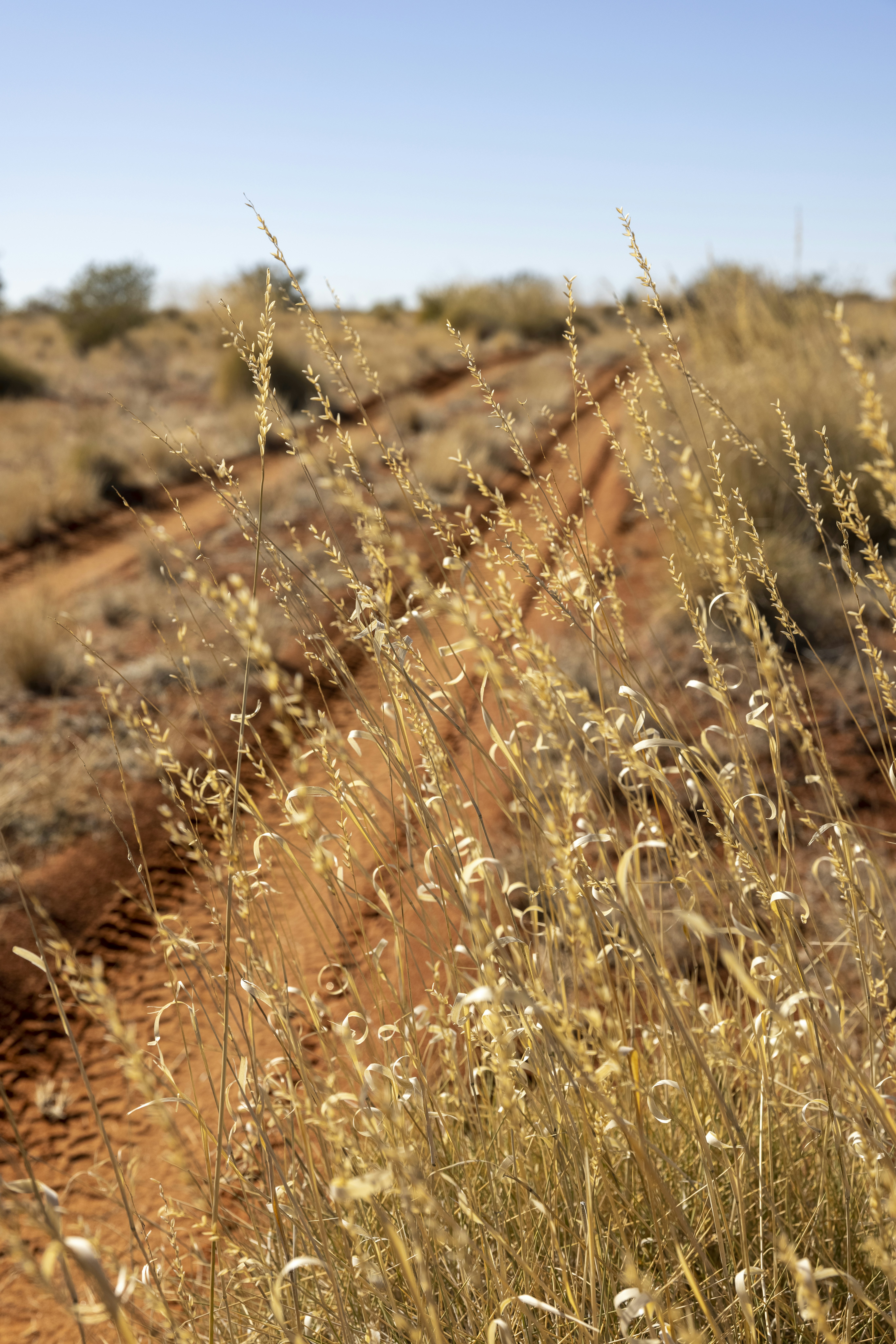 Photo by stephenmabbs