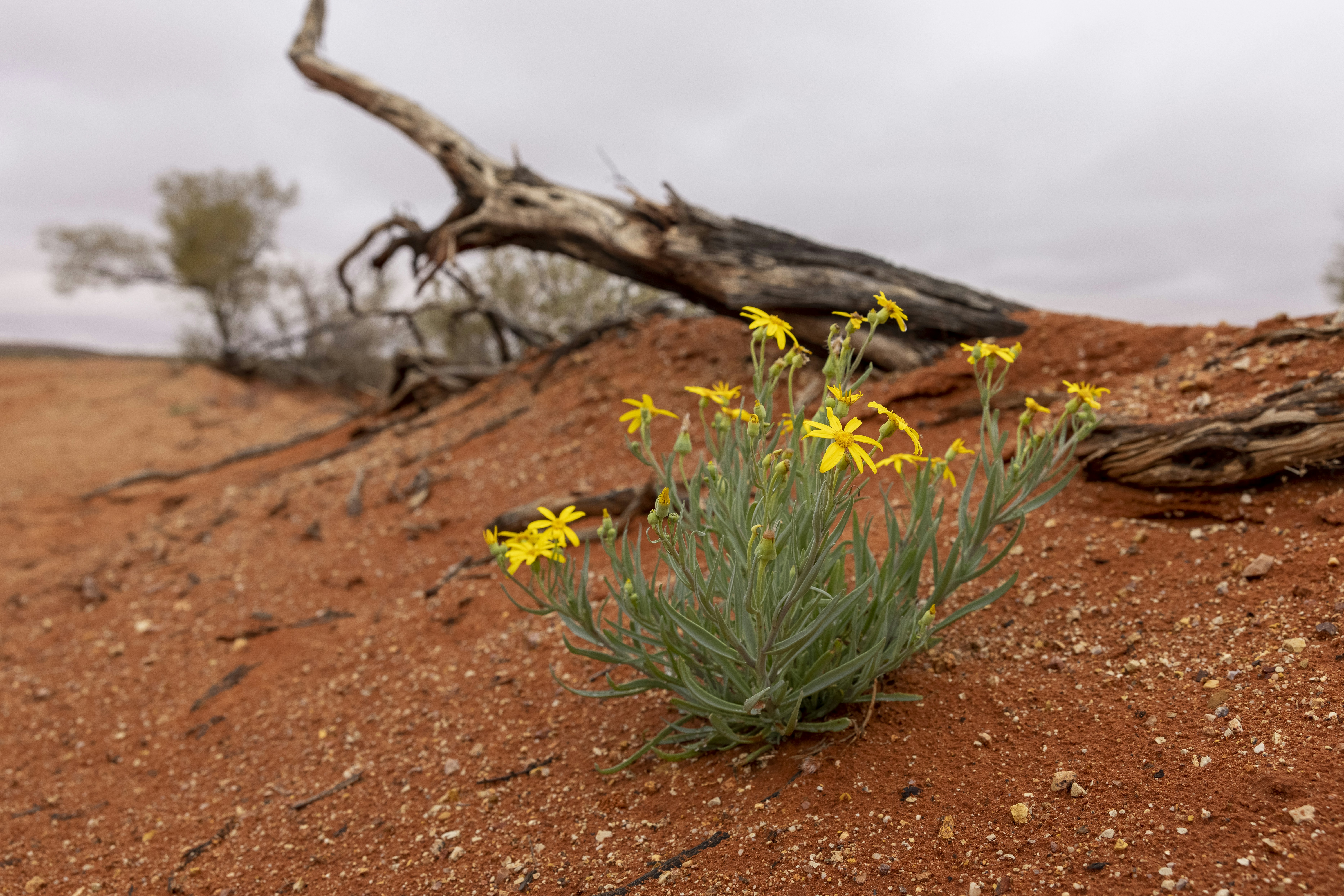 Photo by stephenmabbs