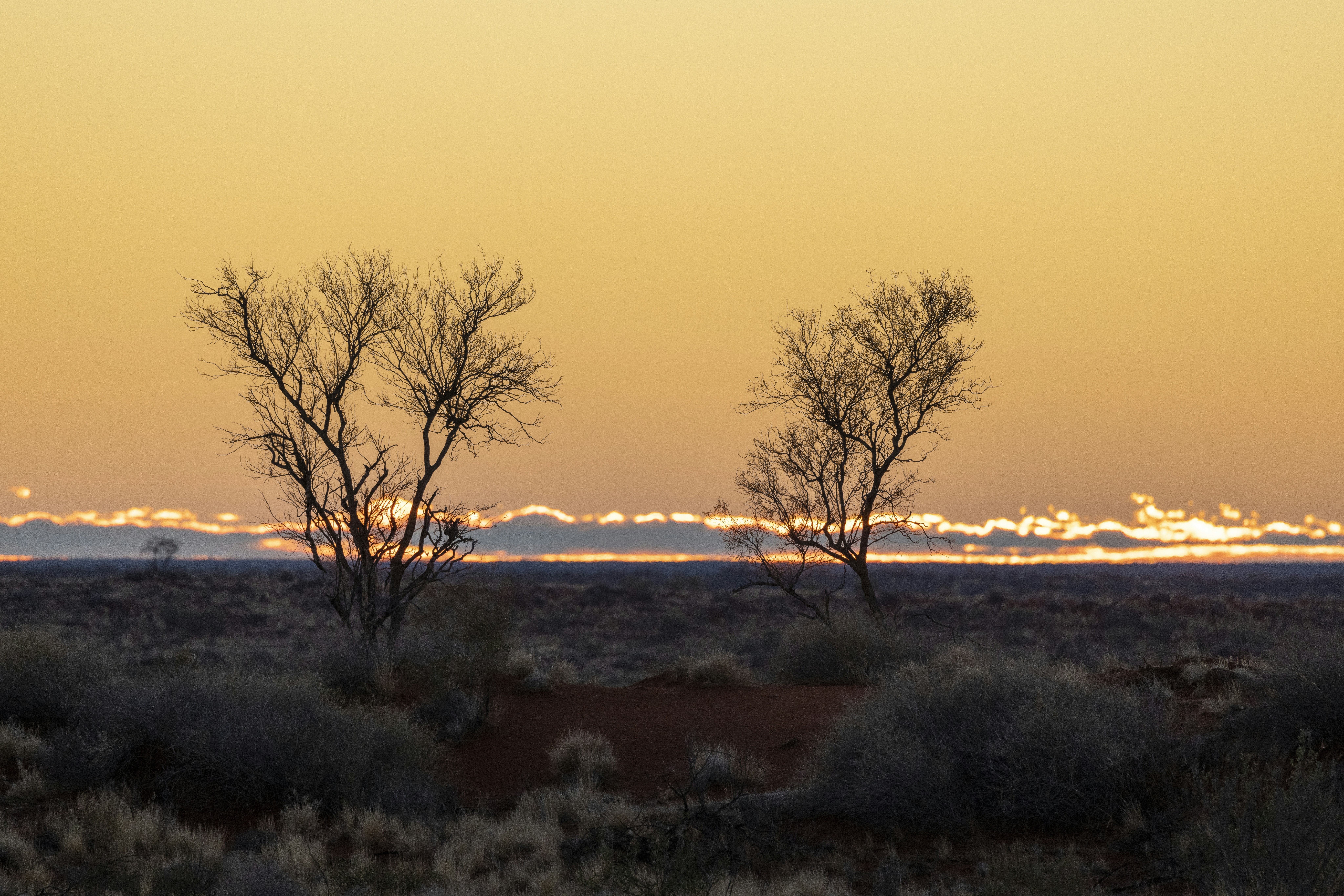 Photo by stephenmabbs