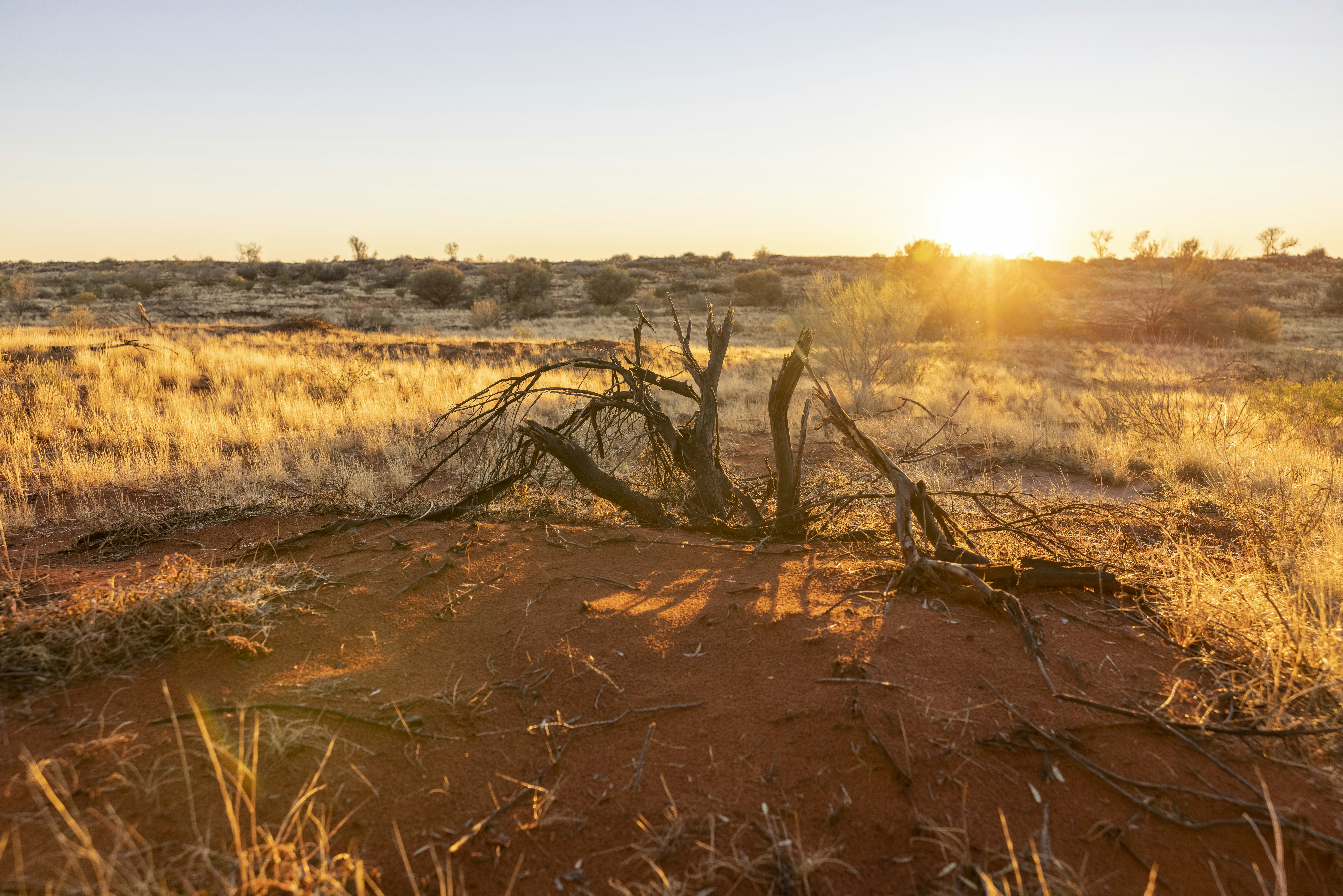 Photo by stephenmabbs