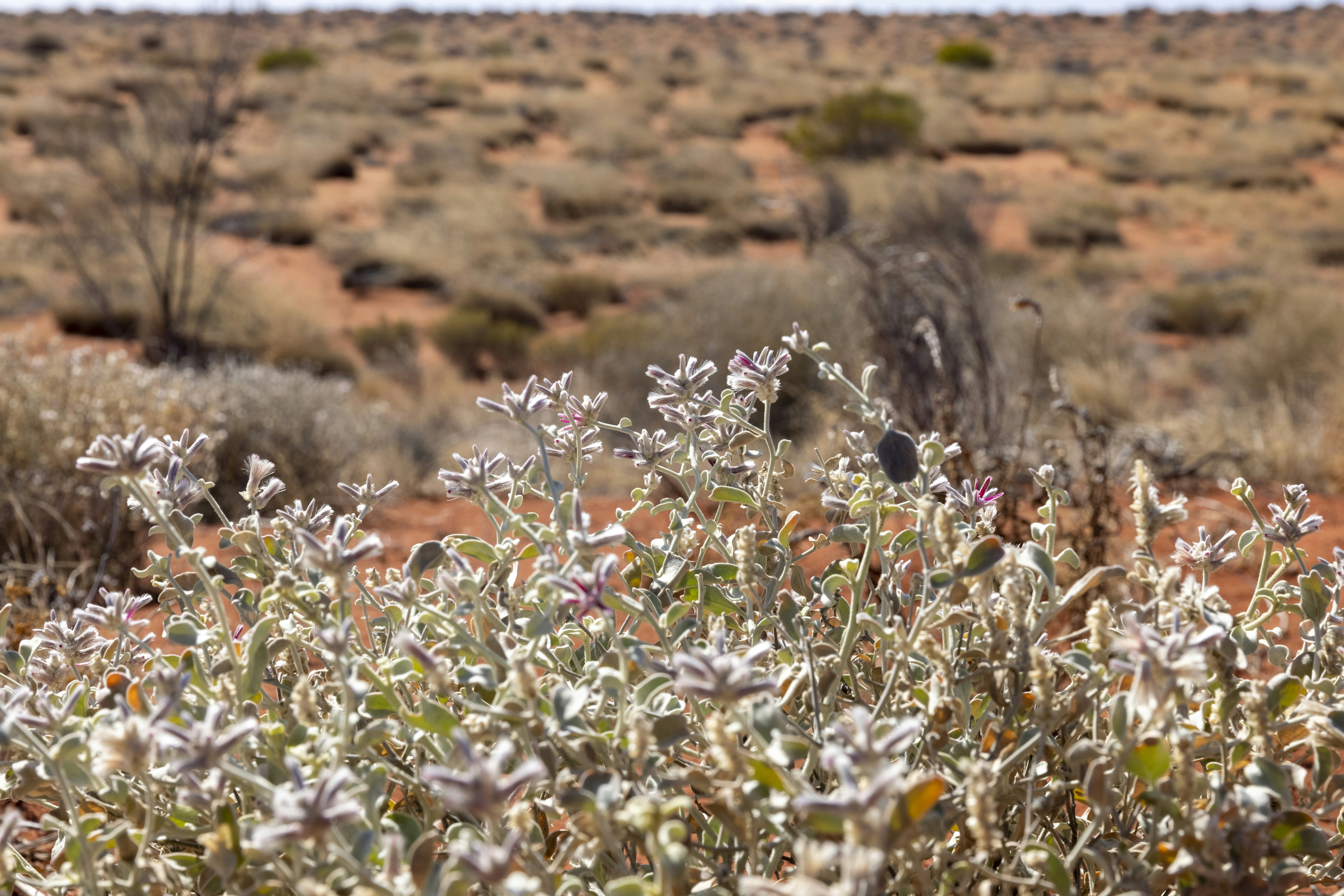 Photo by stephenmabbs