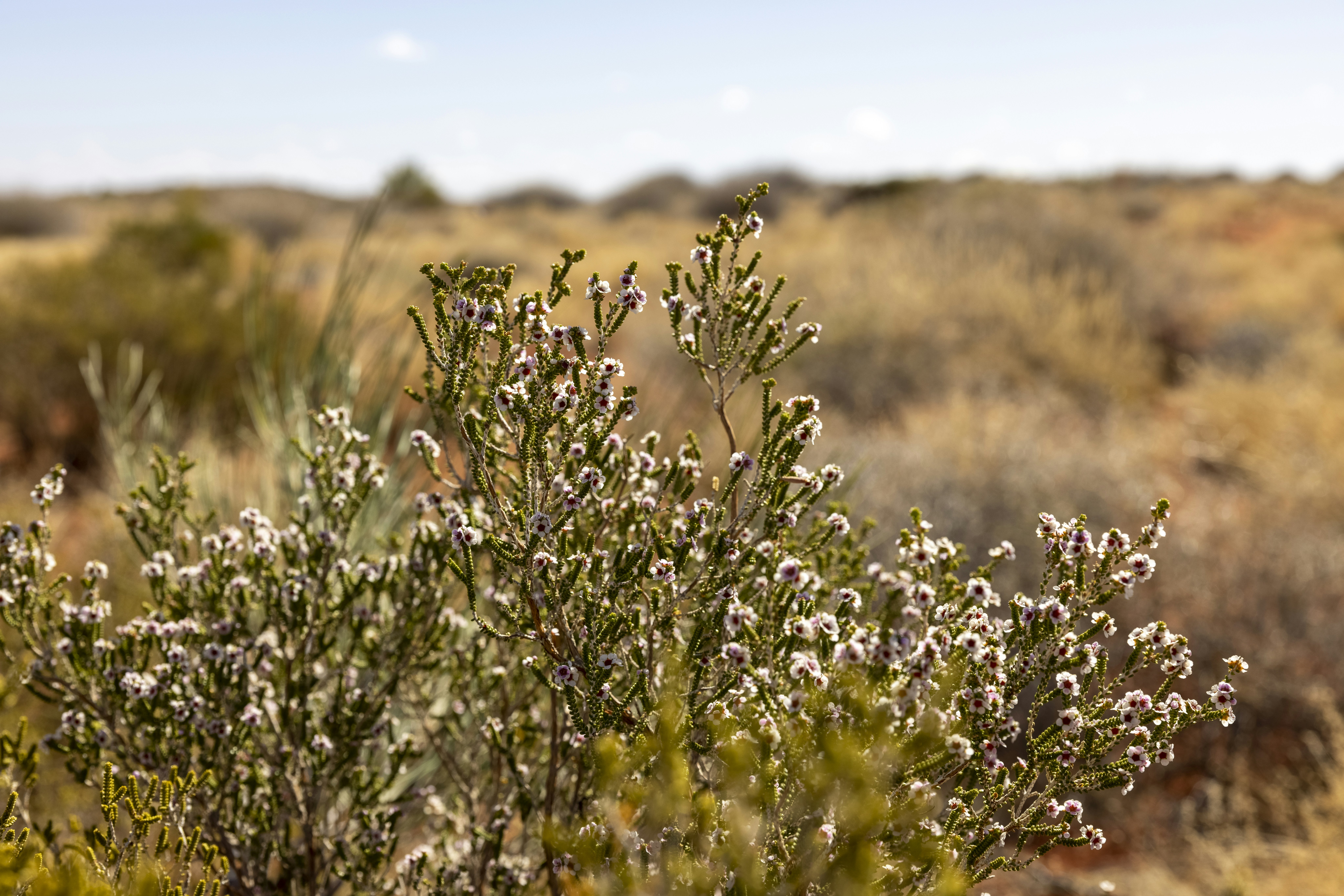 Photo by stephenmabbs