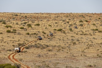 A series of off-road vehicles move along a winding dirt track in an arid, grassy landscape. The terrain is dotted with sparse vegetation and small bushes under a clear sky.