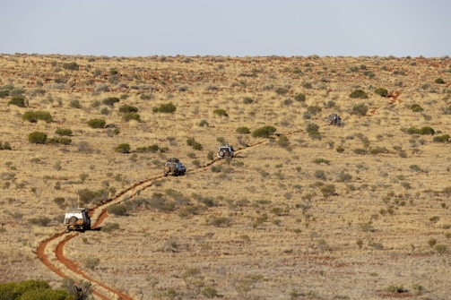 A series of off-road vehicles move along a winding dirt track in an arid, grassy landscape. The terrain is dotted with sparse vegetation and small bushes under a clear sky.