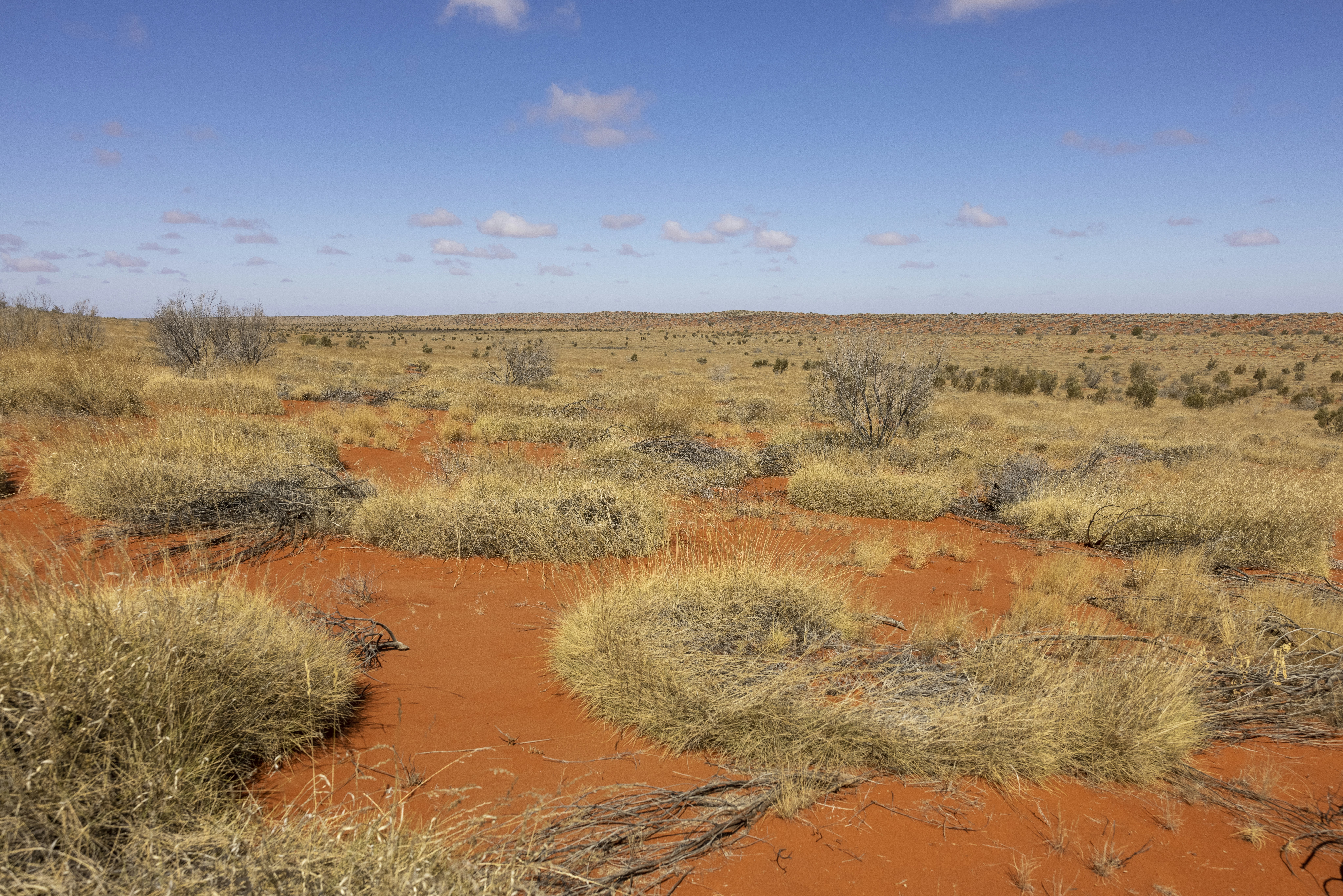 Photo by stephenmabbs