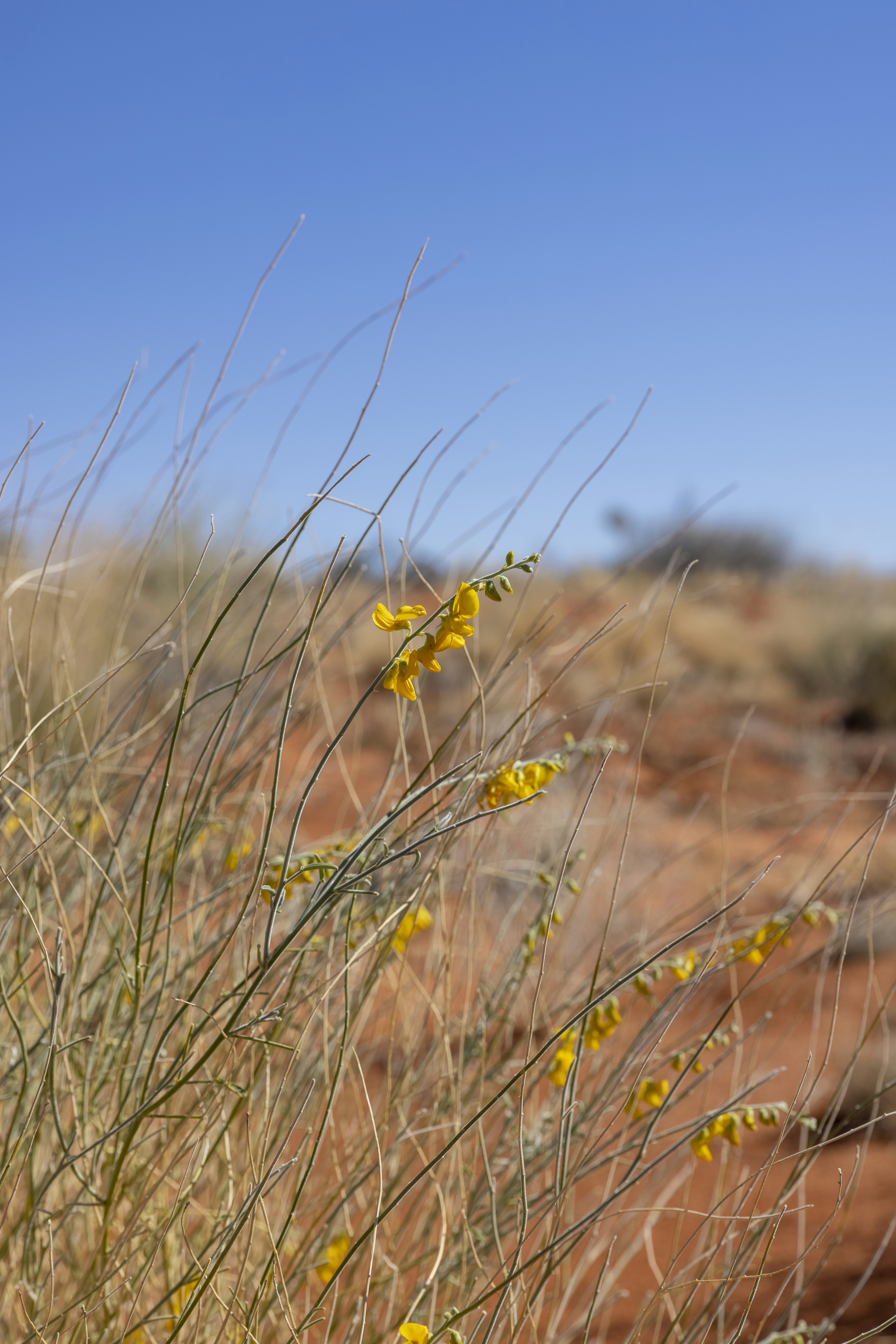 Photo by stephenmabbs