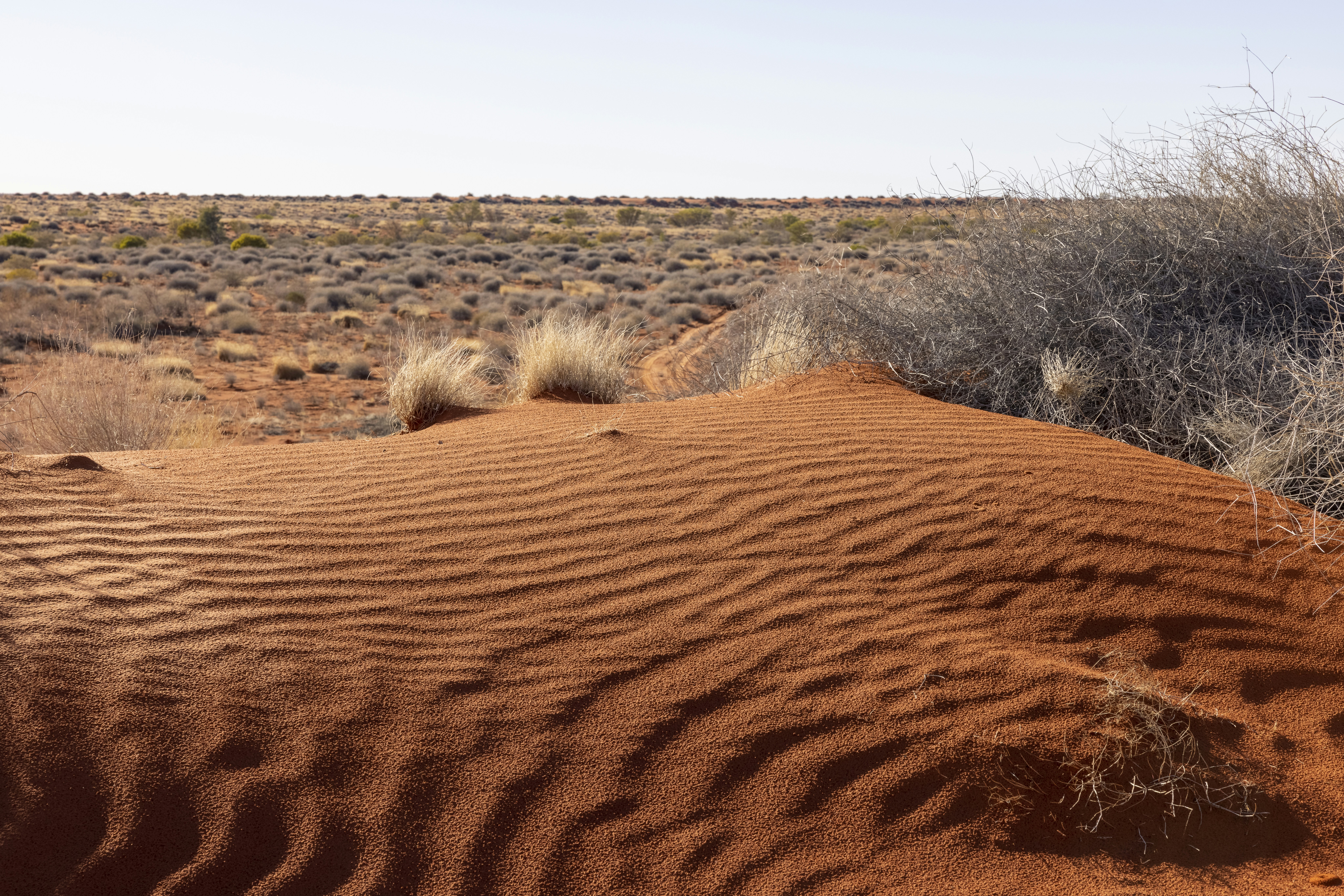 Simpson Desert, South Australia