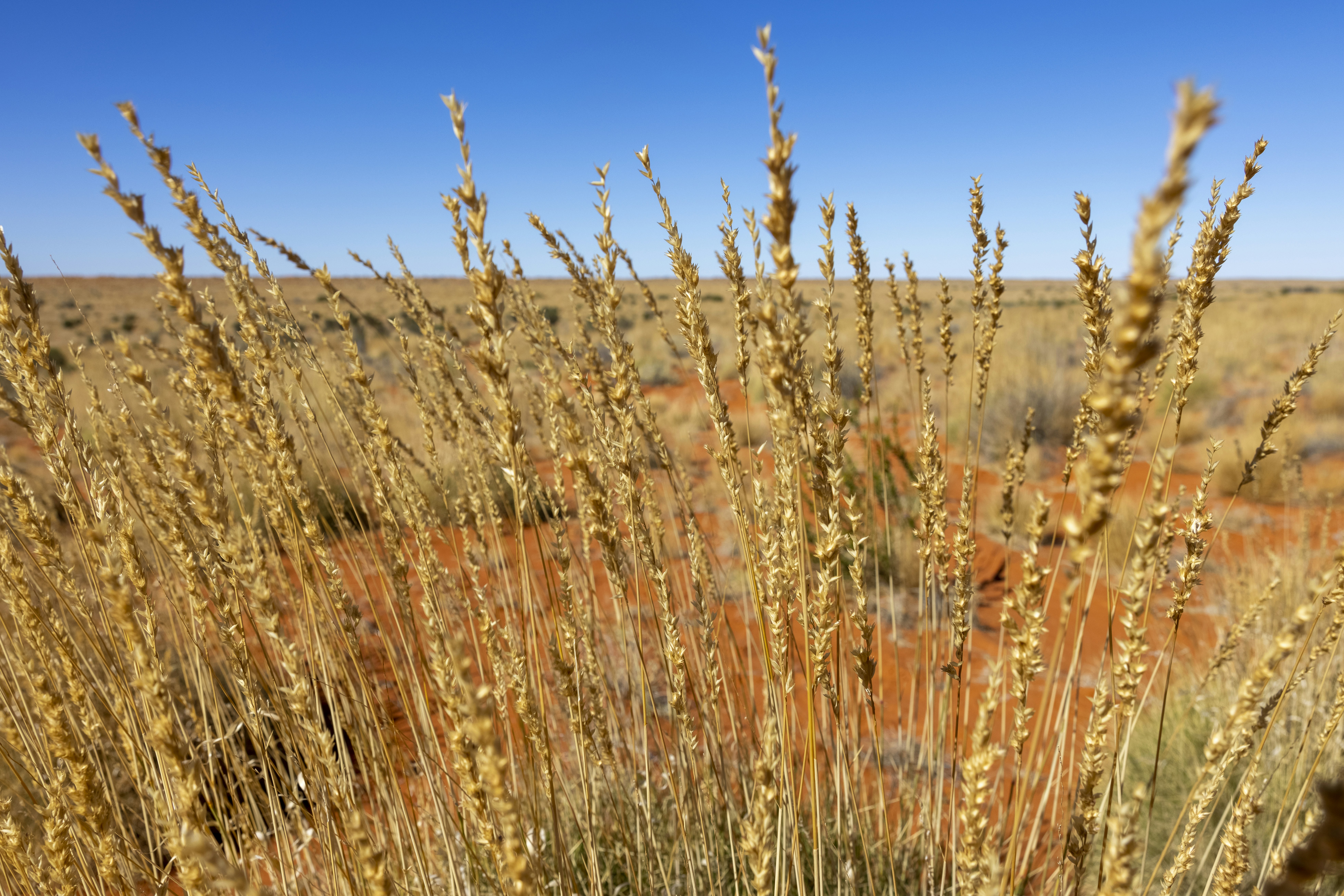 Photo by stephenmabbs