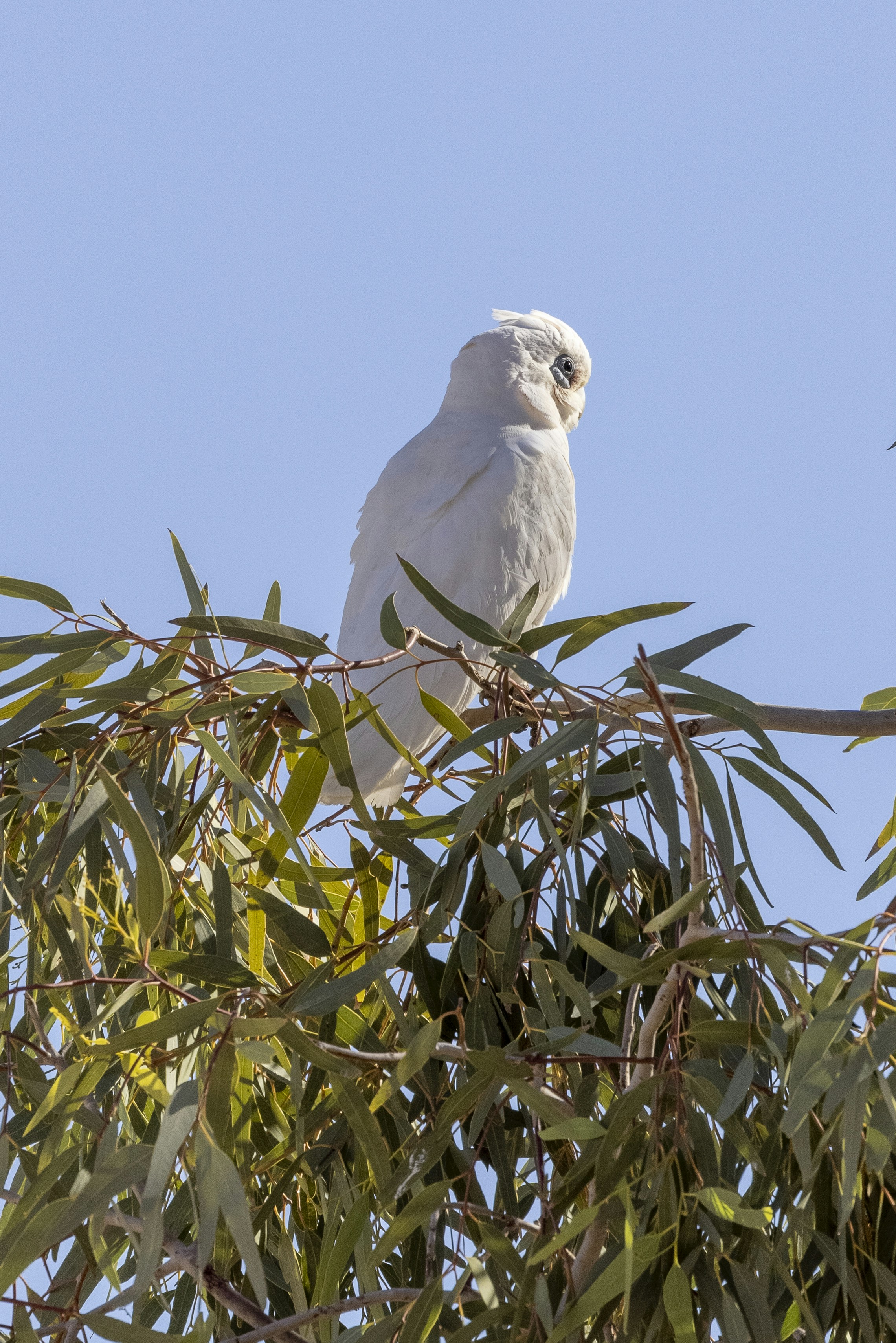 Photo by stephenmabbs