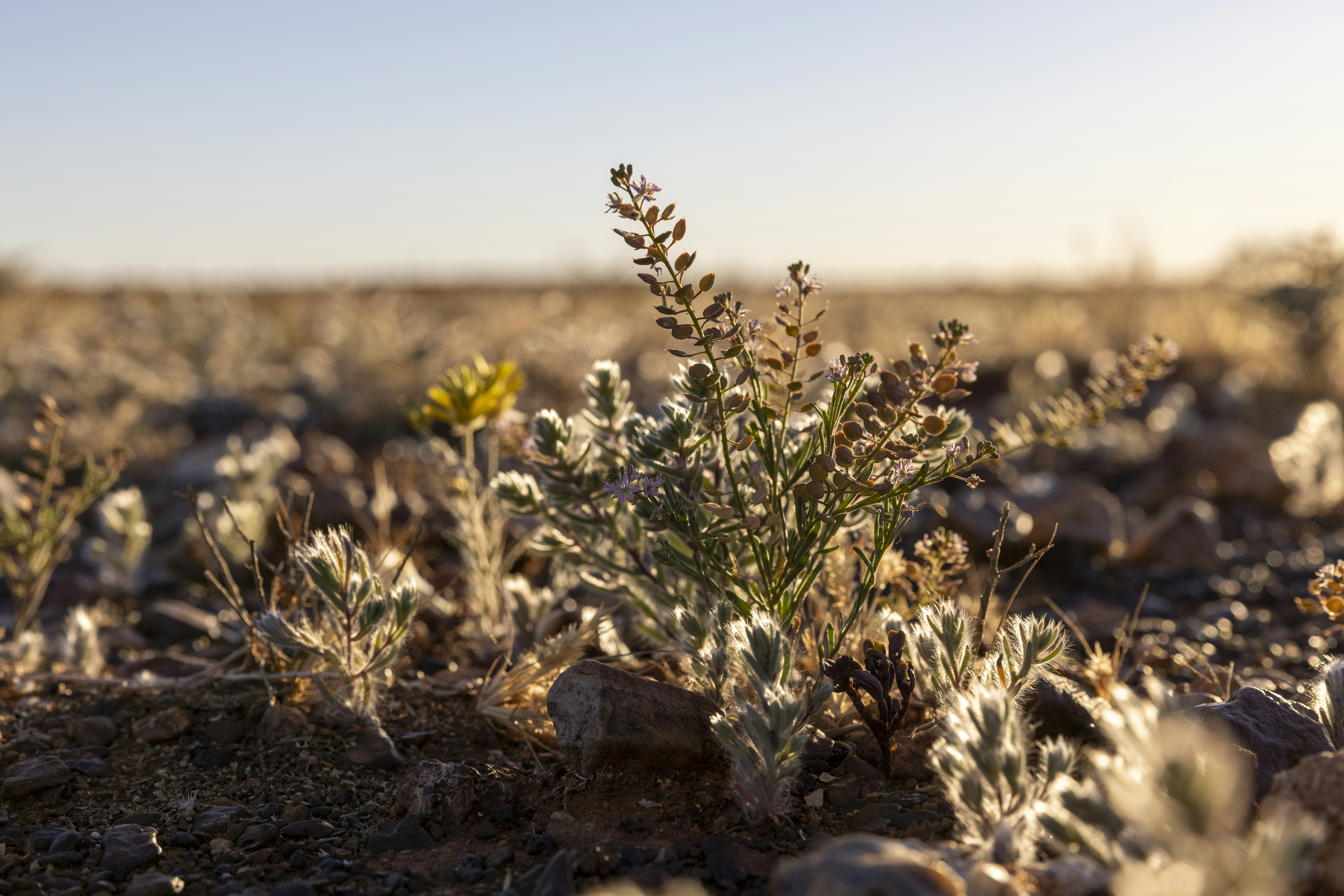 Photo by stephenmabbs