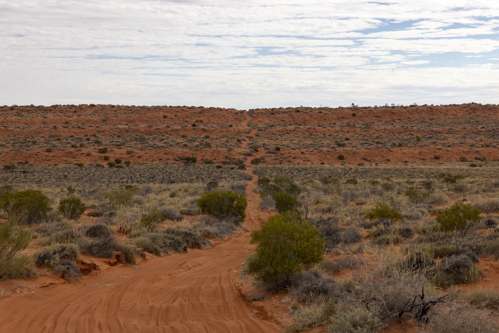 Un chemin de terre au milieu d’un désert