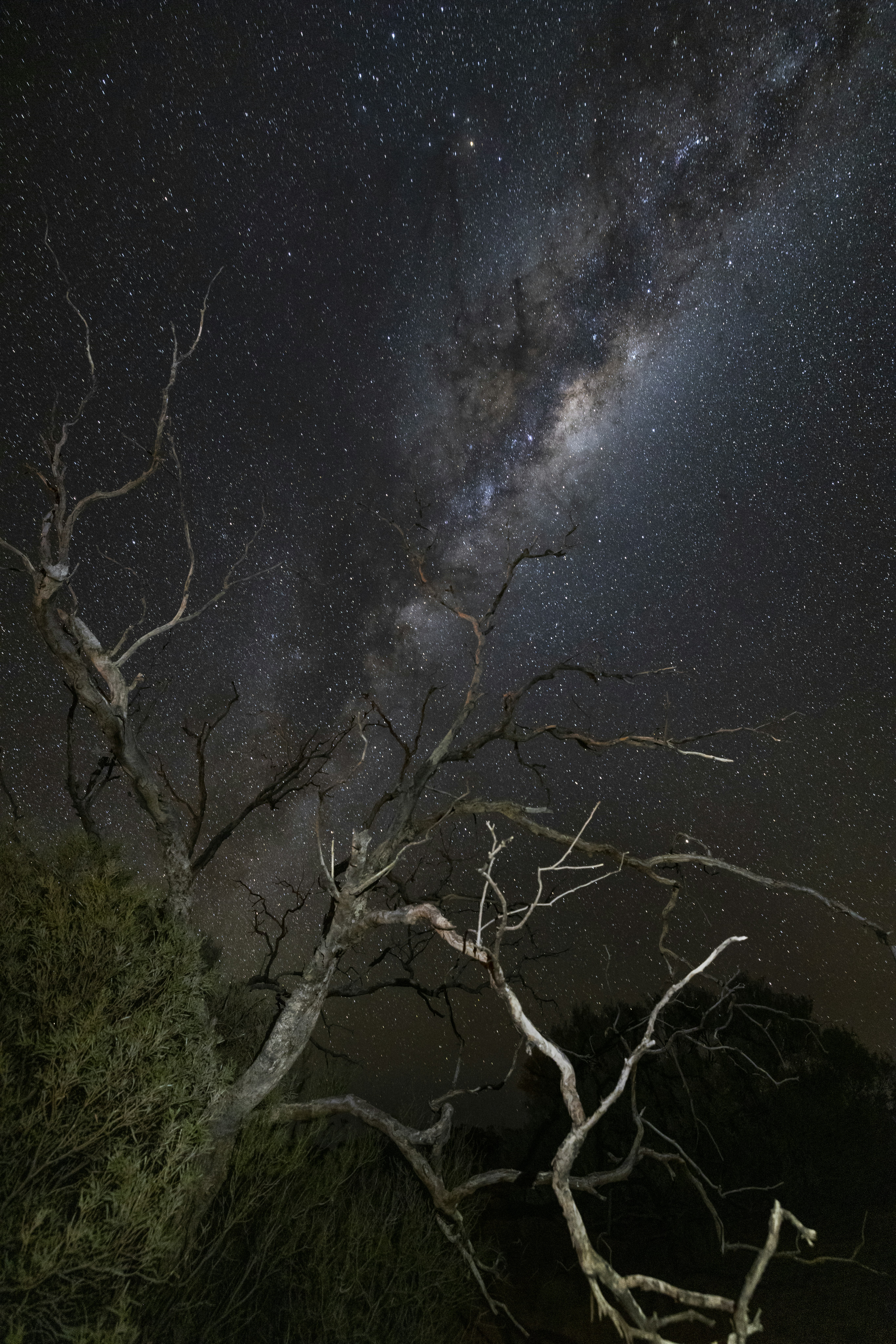 Photo by stephenmabbs