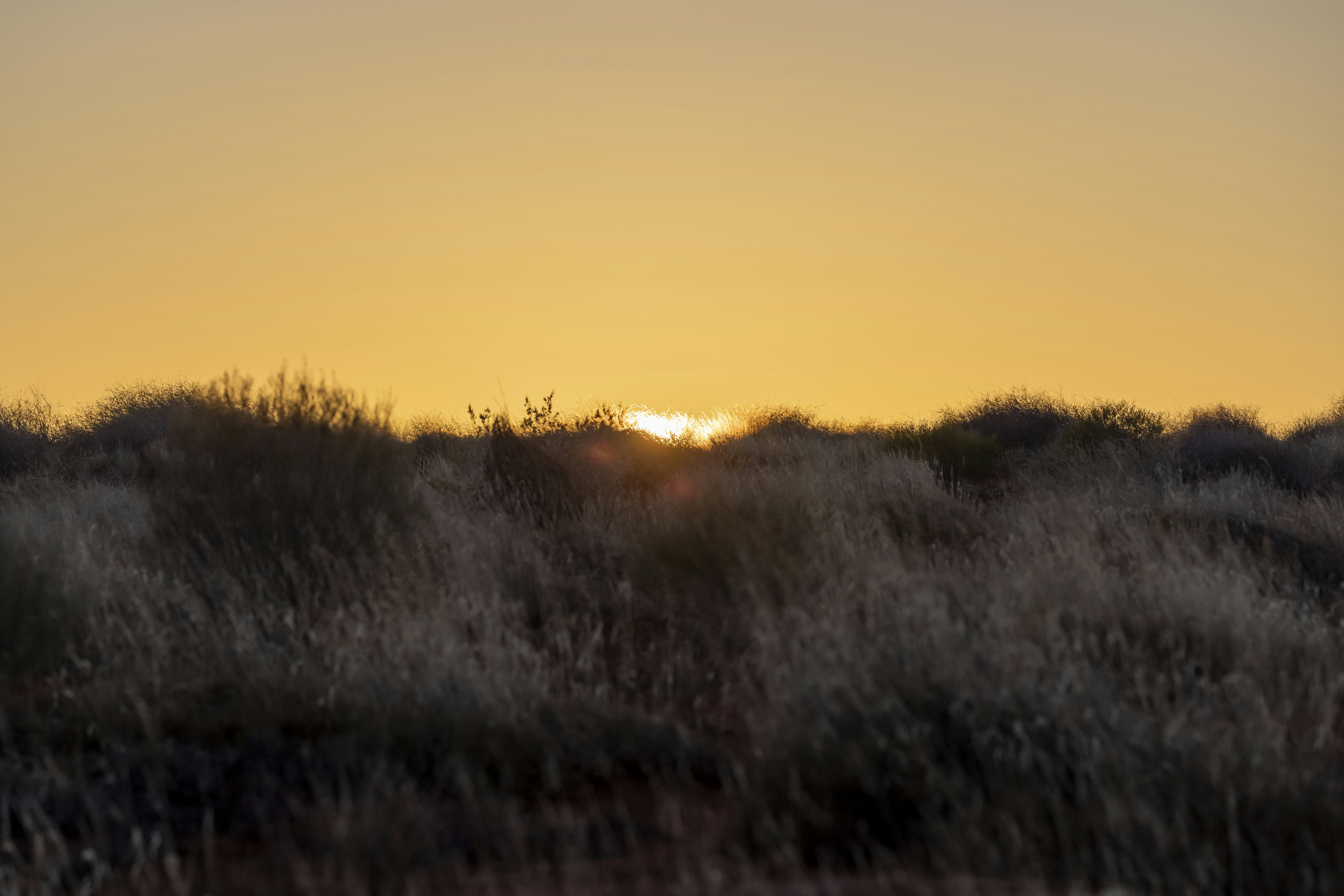 Photo by stephenmabbs