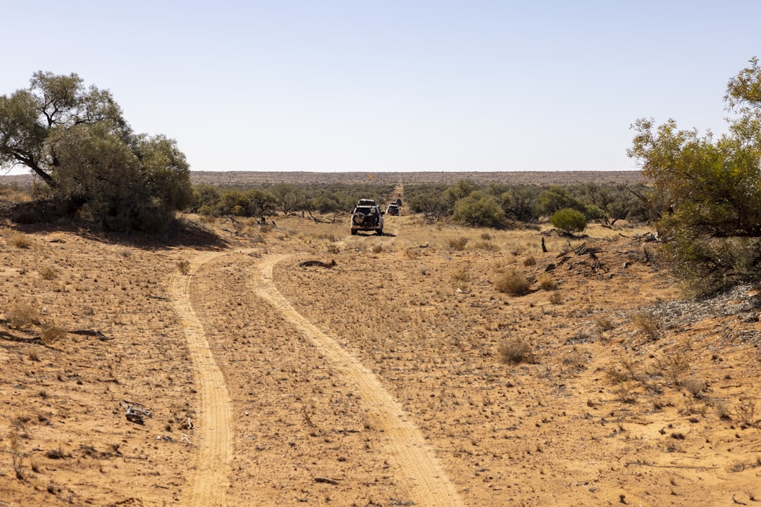 Bush Pilot Paradise Inside Australia's Remote Clay Pan Airstrips in… — Bush Pilot Paradise Inside…, photo 2