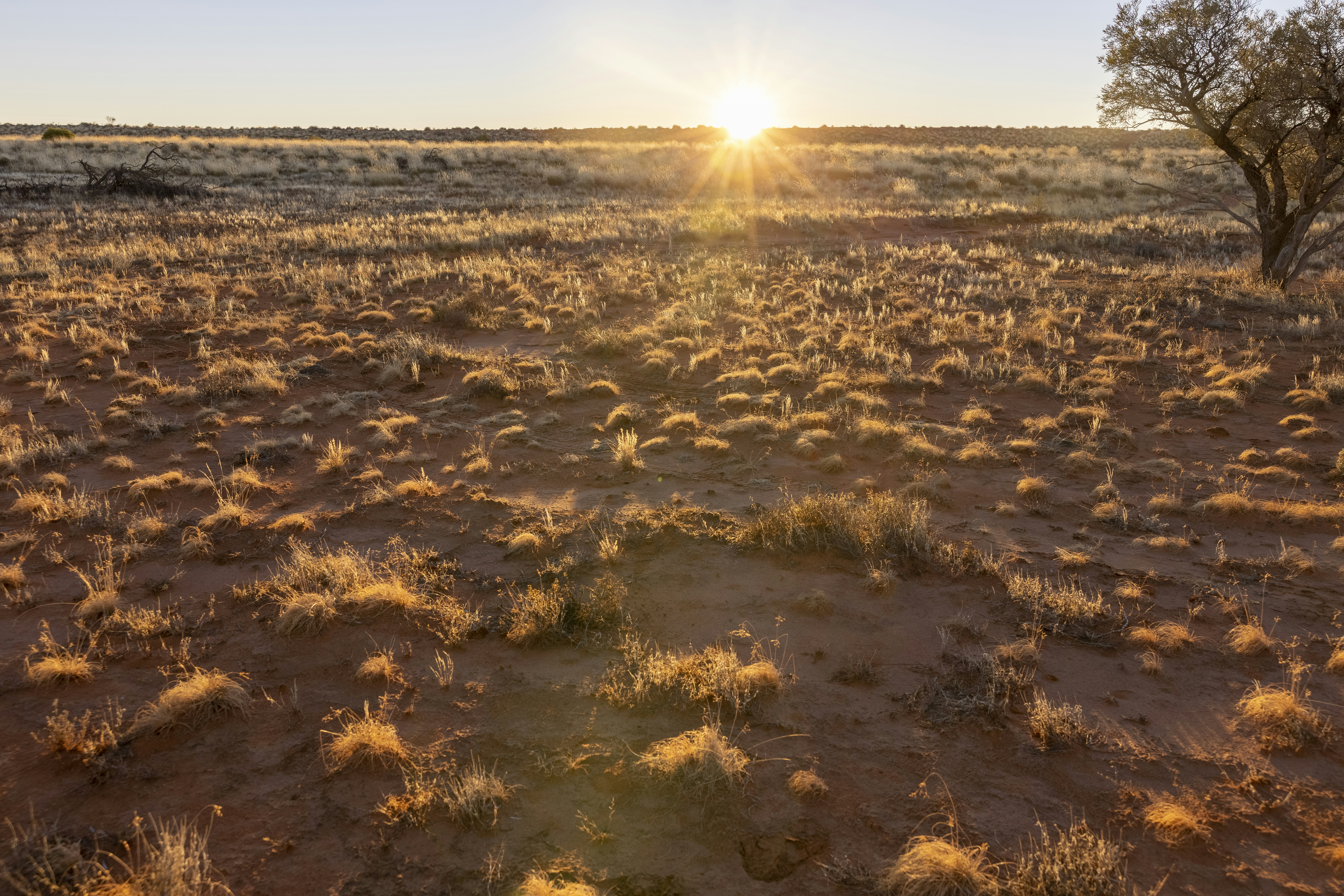 Photo by stephenmabbs