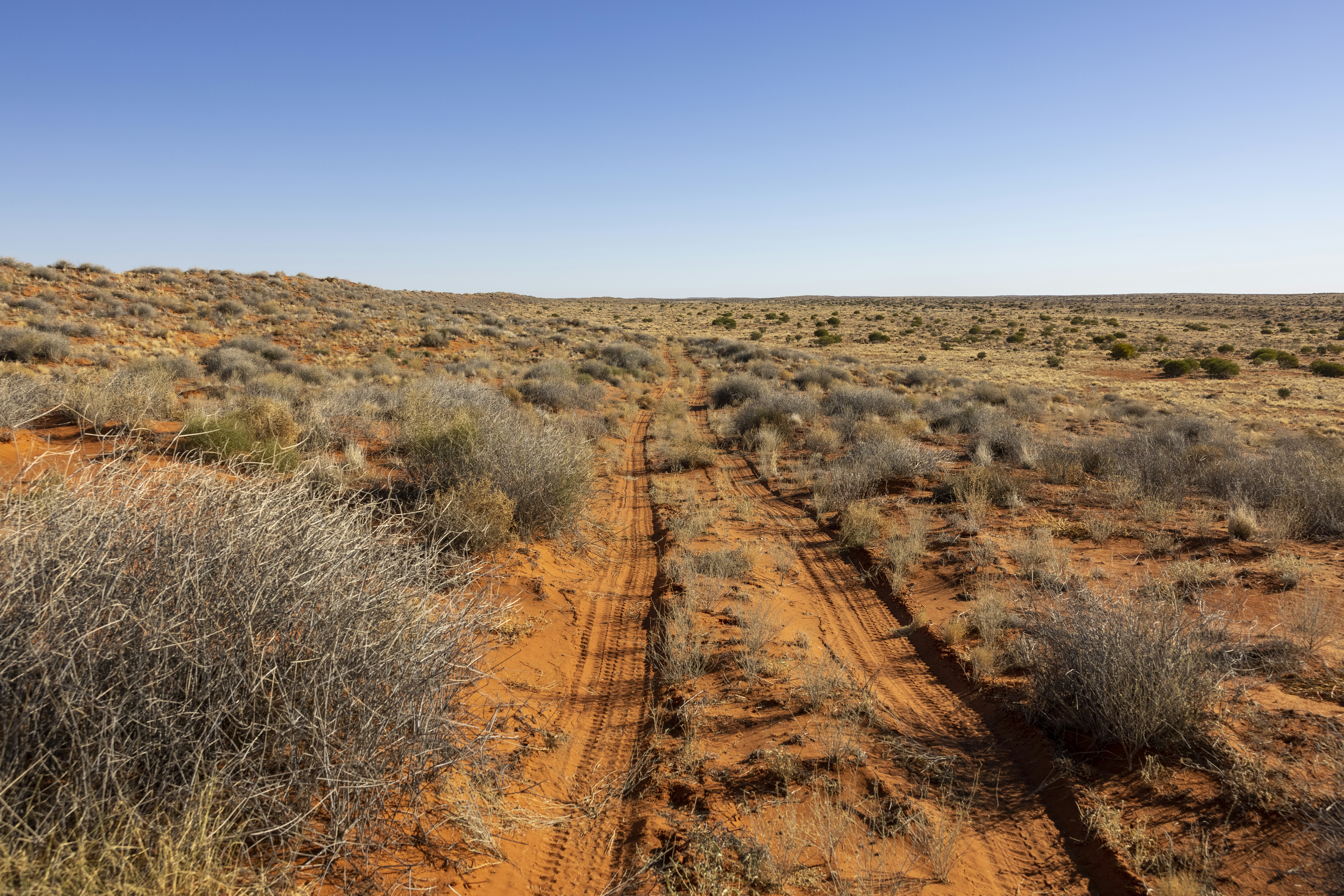 Photo by stephenmabbs