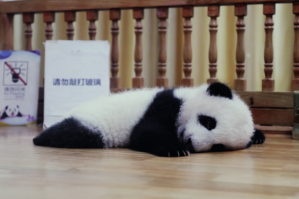 a black and white panda bear laying on a wooden floor