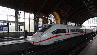 A modern high-speed train is stationed at a train platform inside a spacious railway station with high arched windows. The station is dimly lit, with a blend of natural light filtering through the glass. A few people are visible on the platform, and signage indicates the location as Hamburg Dammtor.