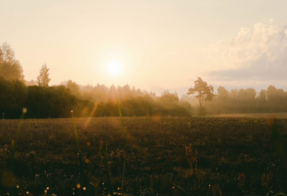 the sun is setting over a field with trees in the background