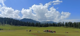 a group of people riding horses across a lush green field