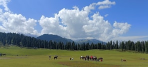 a group of people riding horses across a lush green field