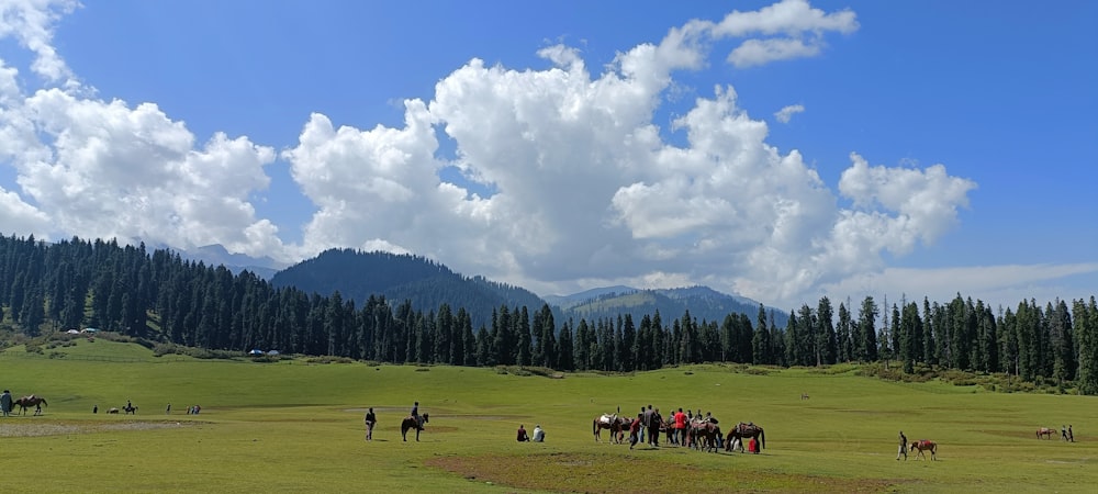 a group of people riding horses across a lush green field