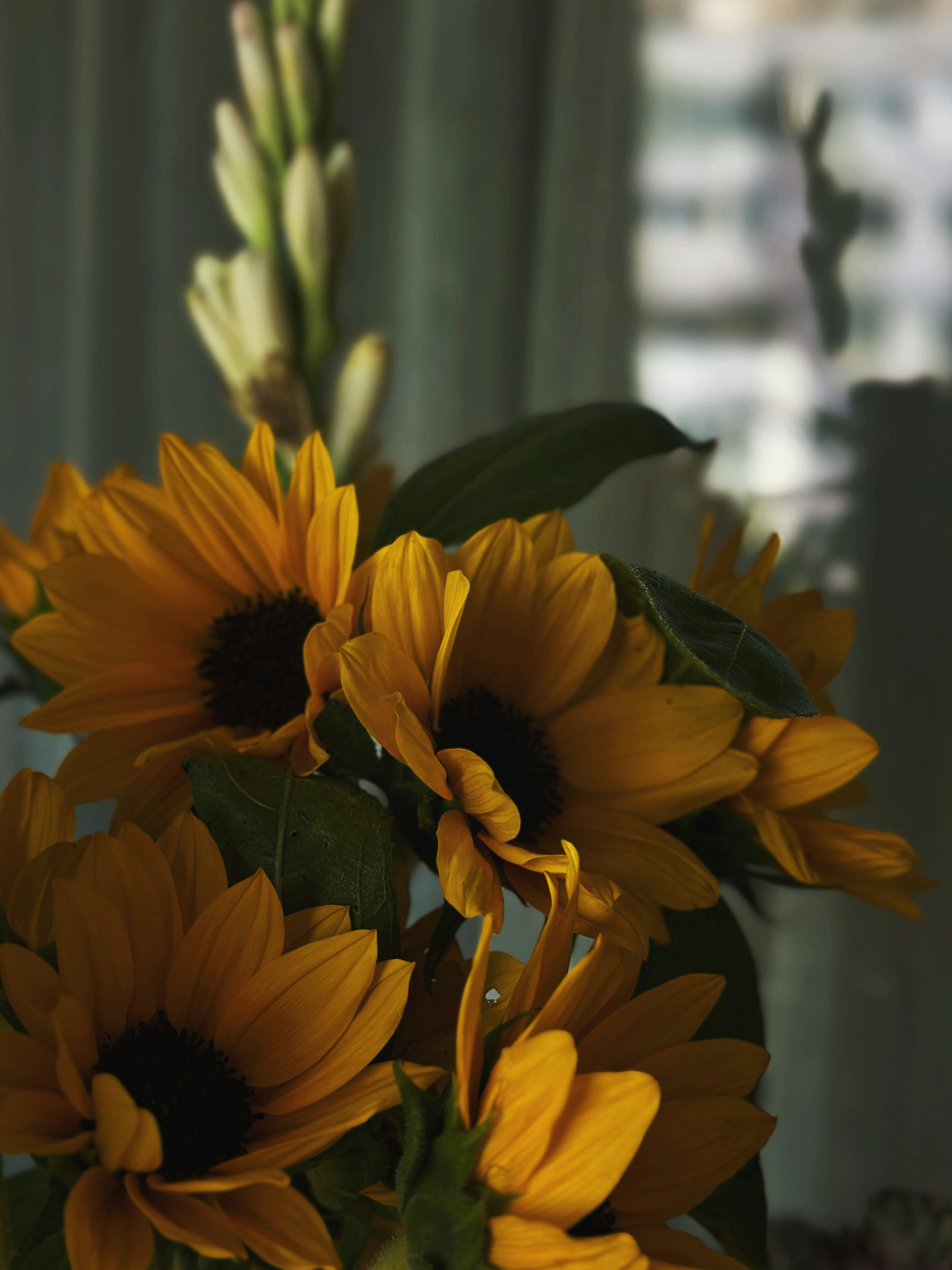 Photo by alexandraleru