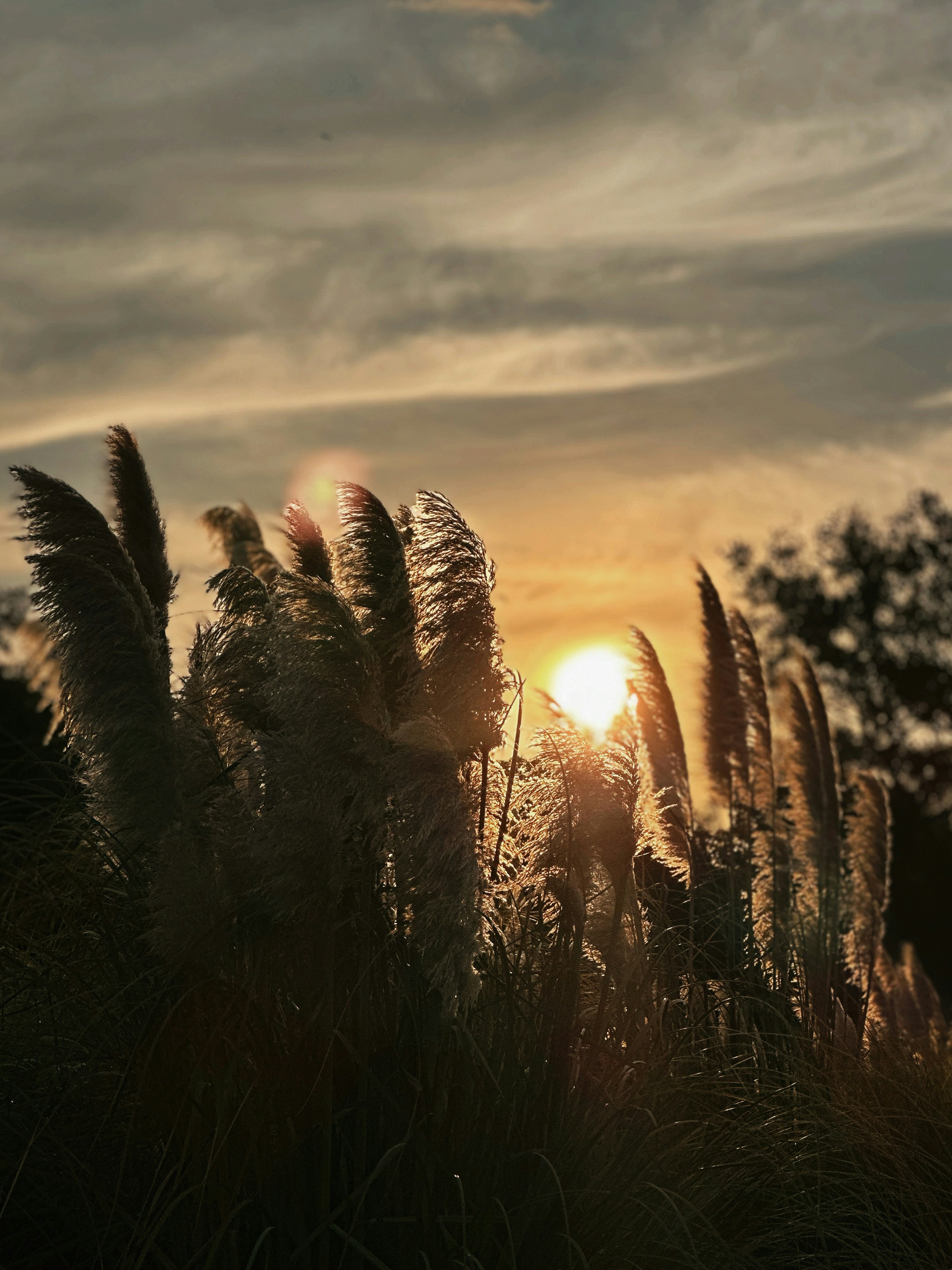 Photo by alexandraleru