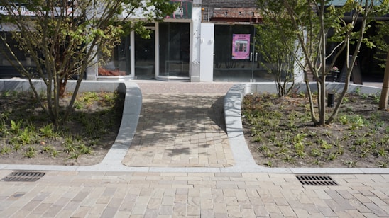 A stone pathway leads to a glass door entrance of a building, with planted areas featuring young trees and small shrubs on both sides. The facade has a modern appearance with a large glass window and a visible poster on the door.