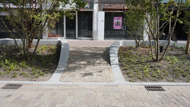 A stone pathway leads to a glass door entrance of a building, with planted areas featuring young trees and small shrubs on both sides. The facade has a modern appearance with a large glass window and a visible poster on the door.