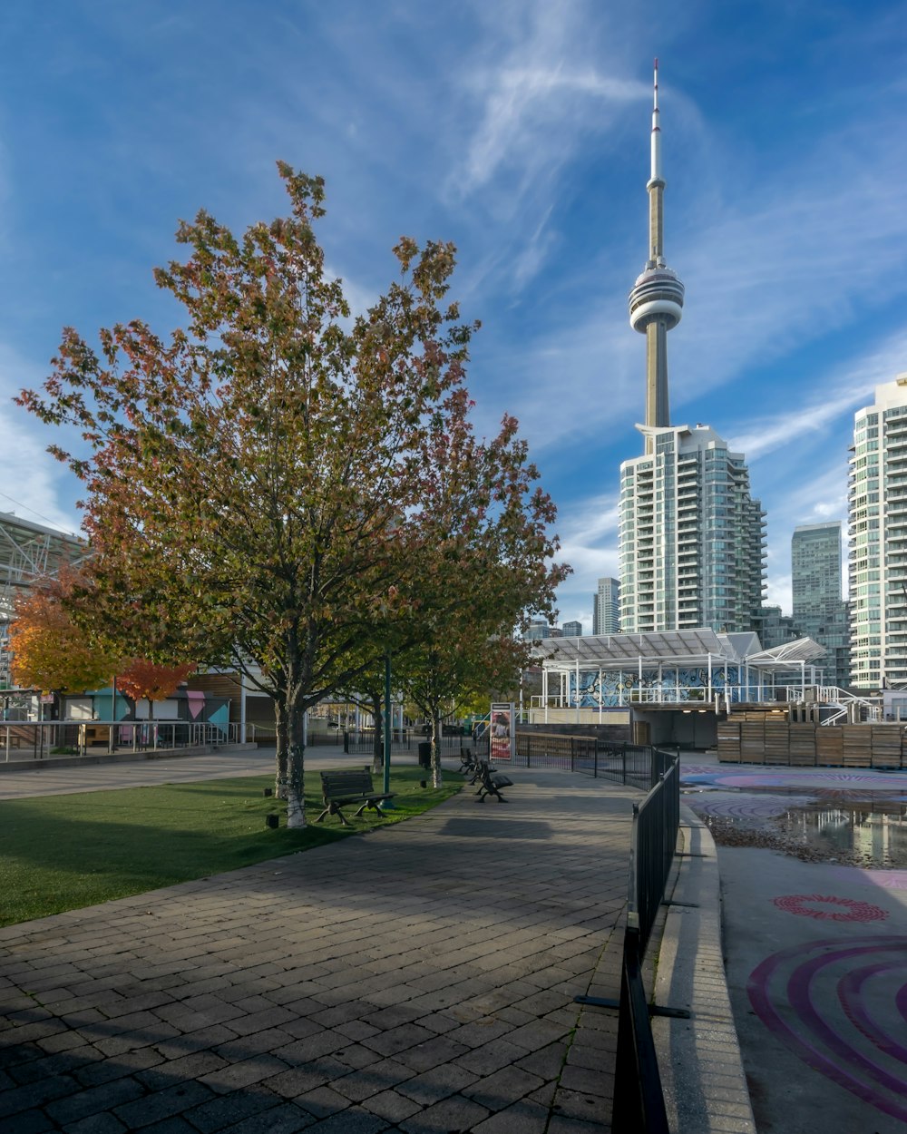 a view of a city from a park