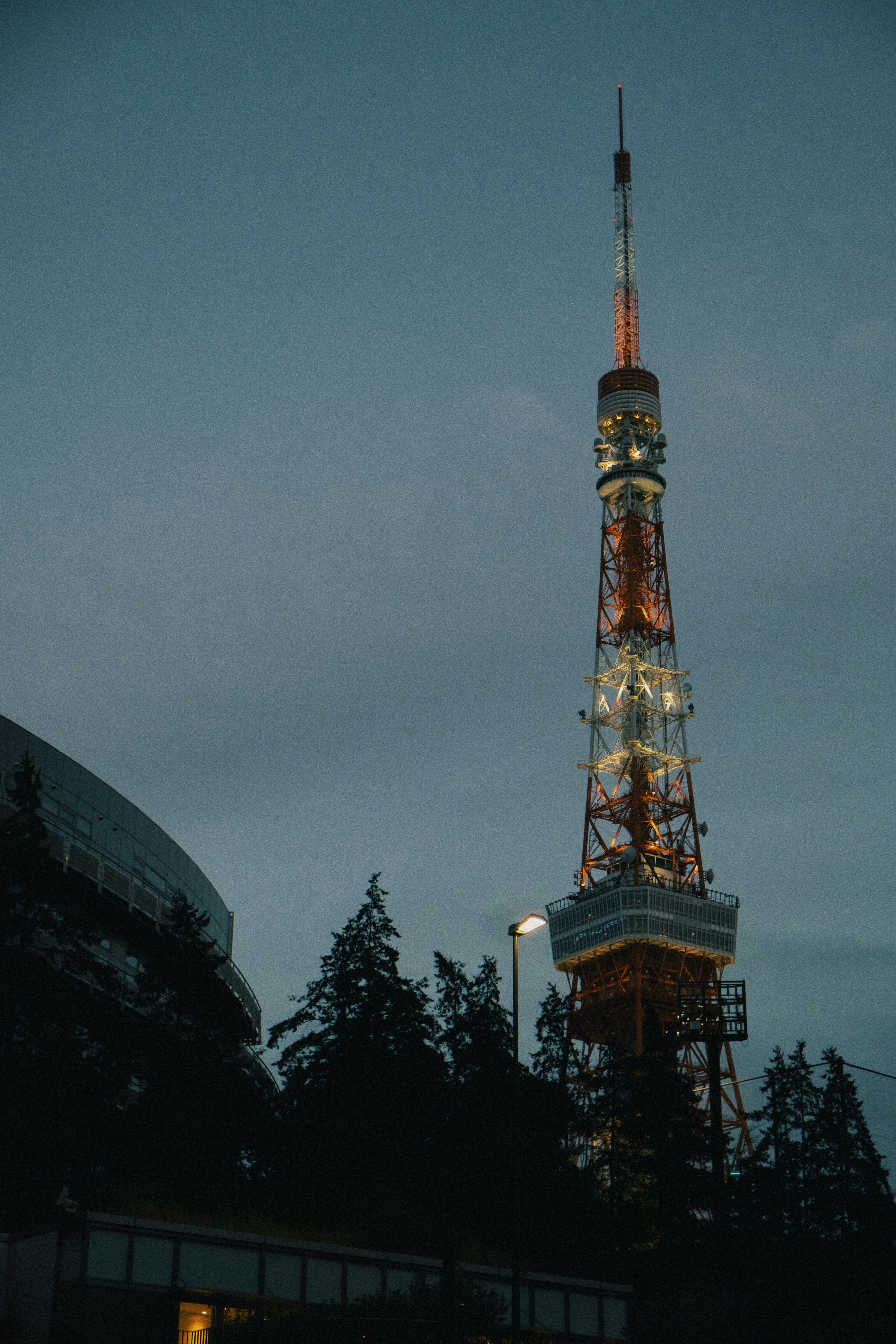 Photo by moritz_photography