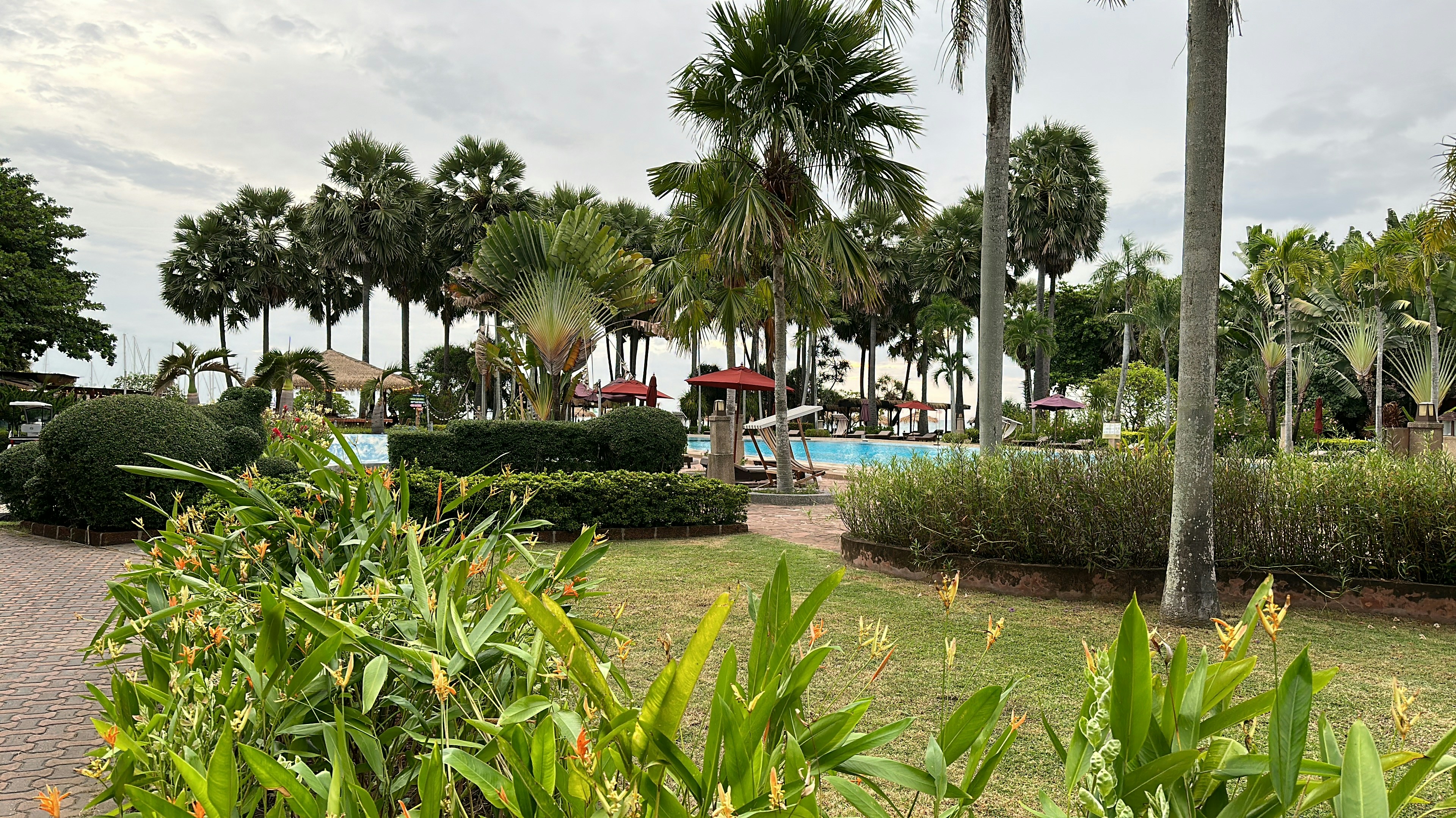 a lush green park with palm trees and a swimming pool