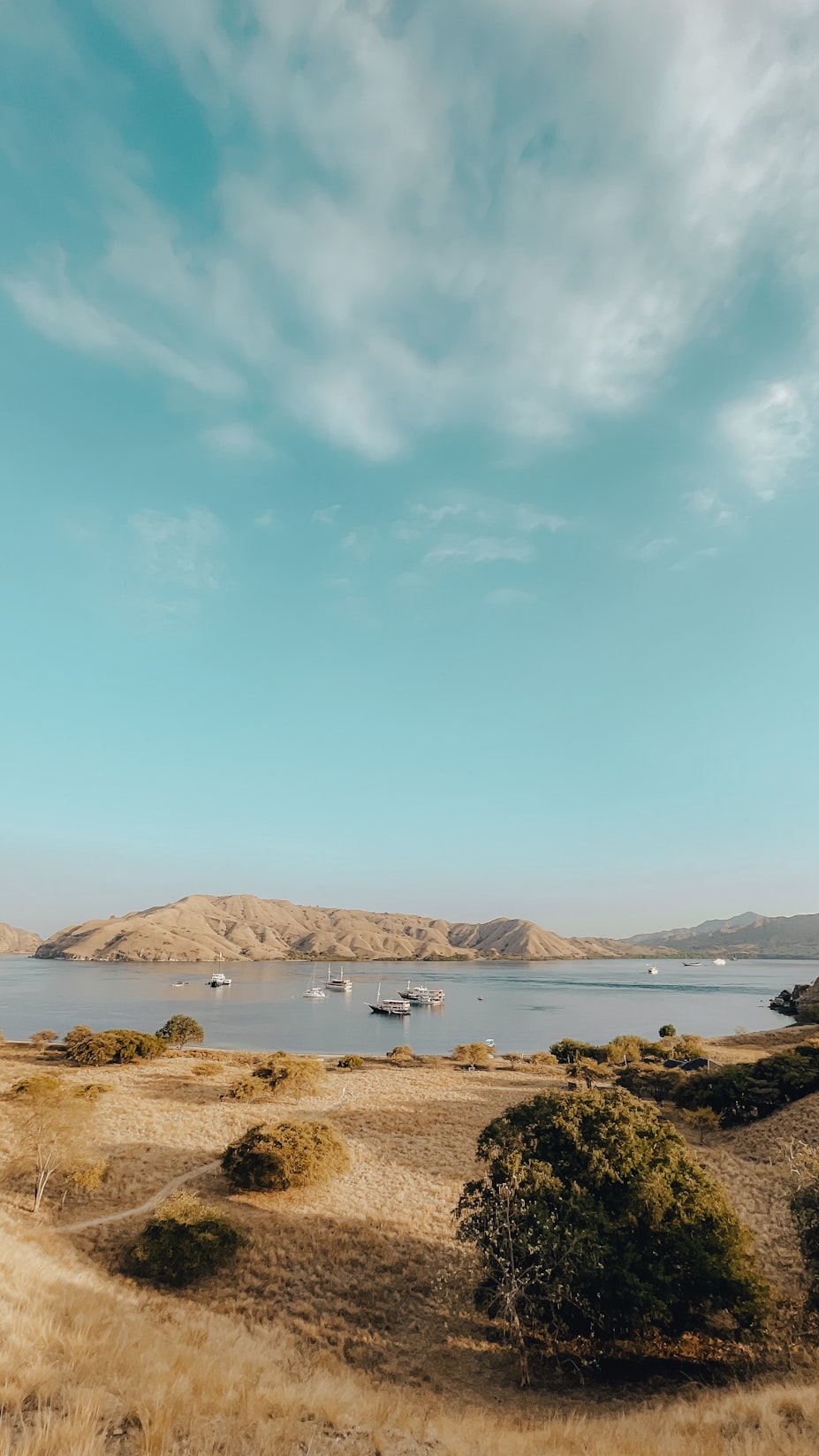 Anchored phinisi ship