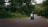 A motorcyclist rides along a winding road surrounded by lush green trees and dense forest. The road curves ahead into the distance, and the rider is wearing a helmet and protective gear. Soft daylight filters through the canopy, creating a serene and adventurous setting.